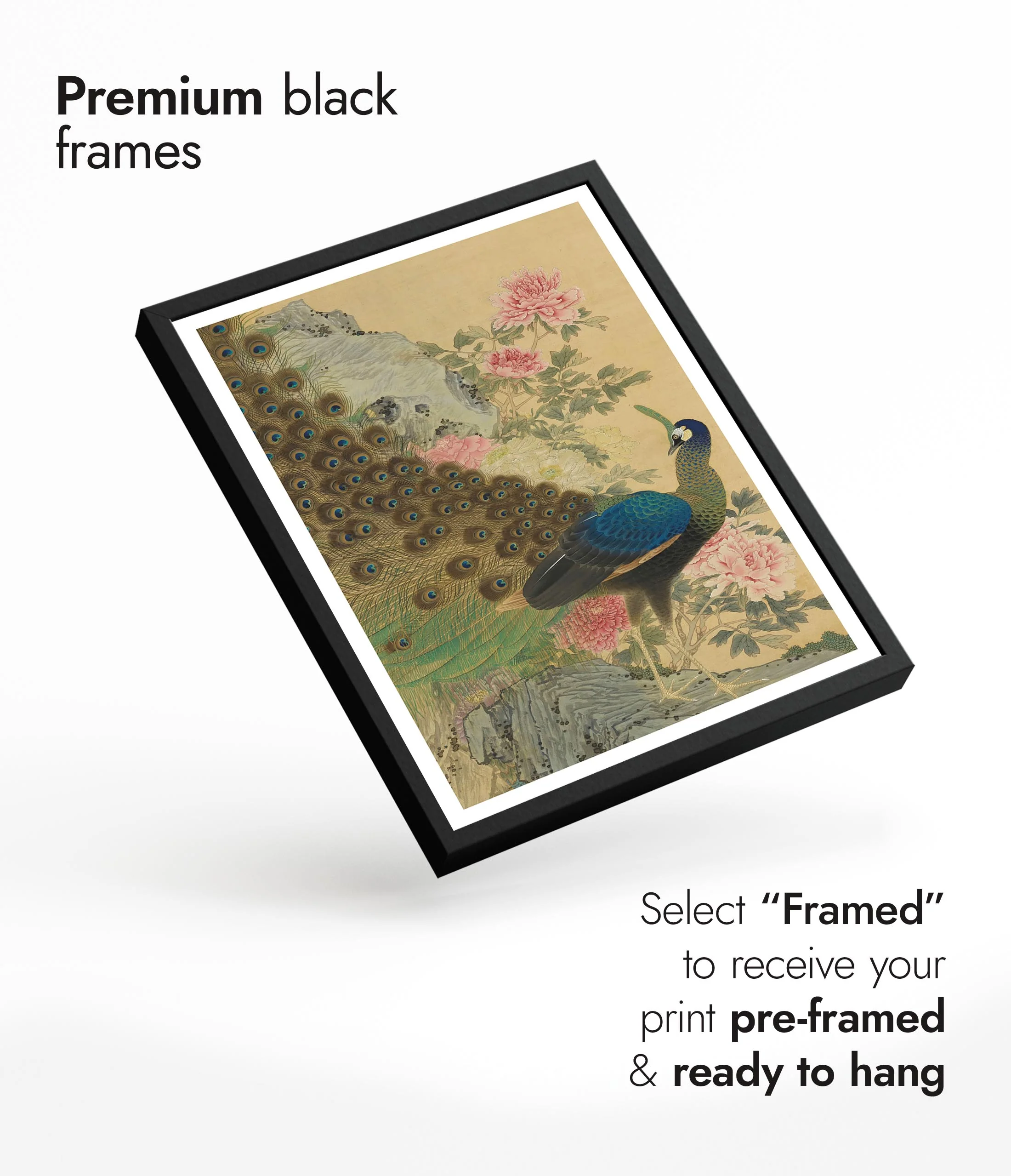 Peacock & Peonies - Image 7