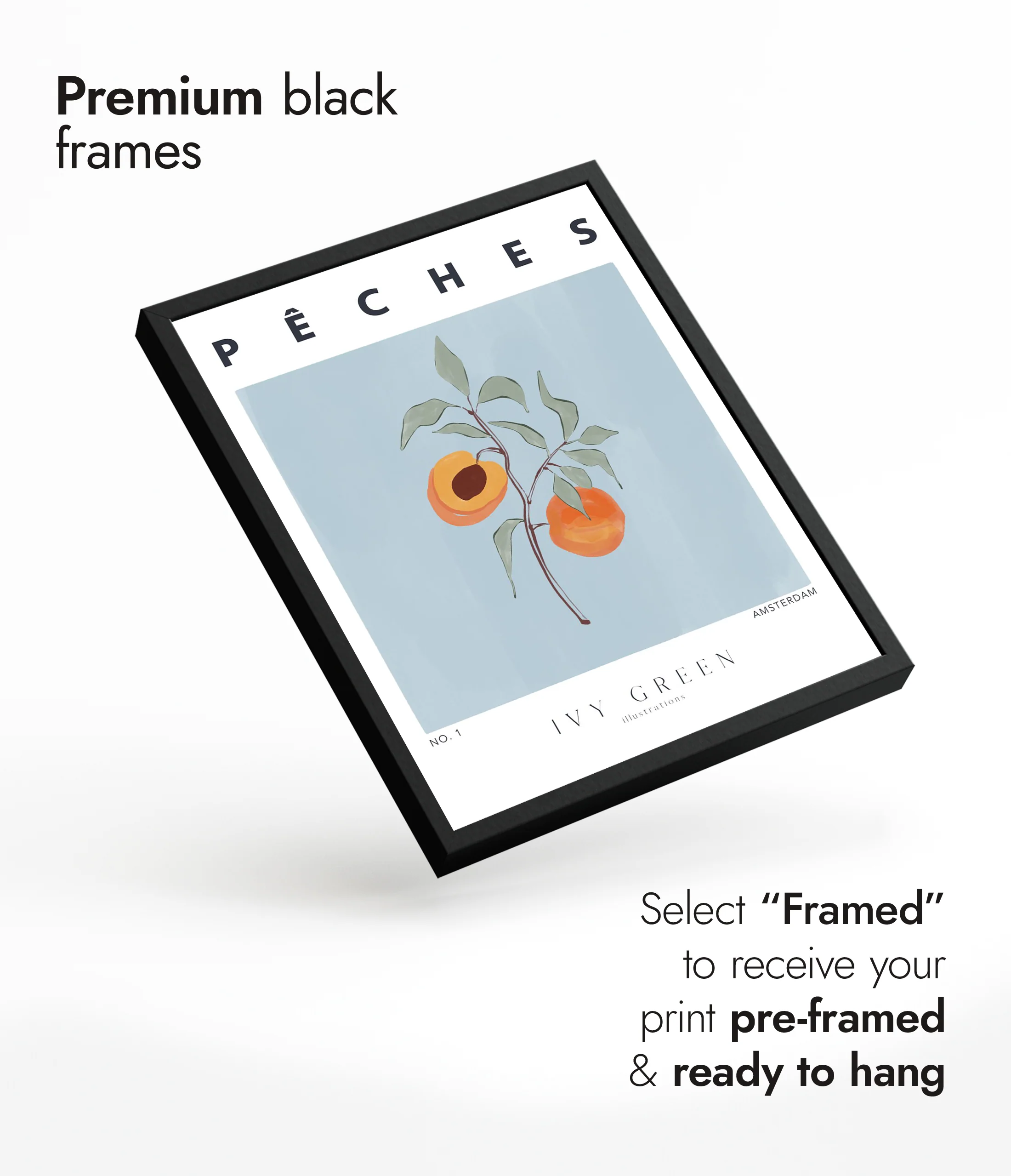 Peches - Image 7