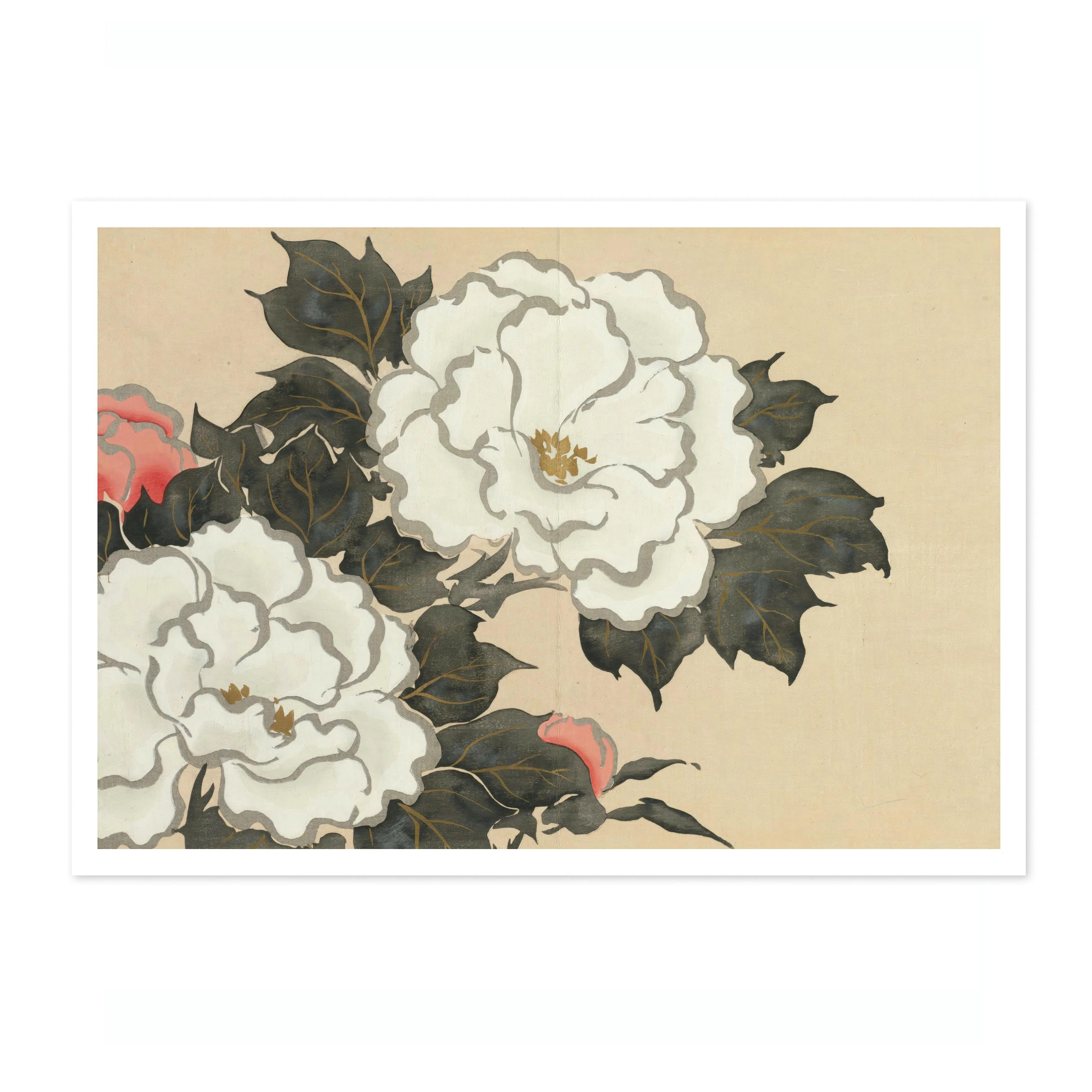 Peonies - Image 4