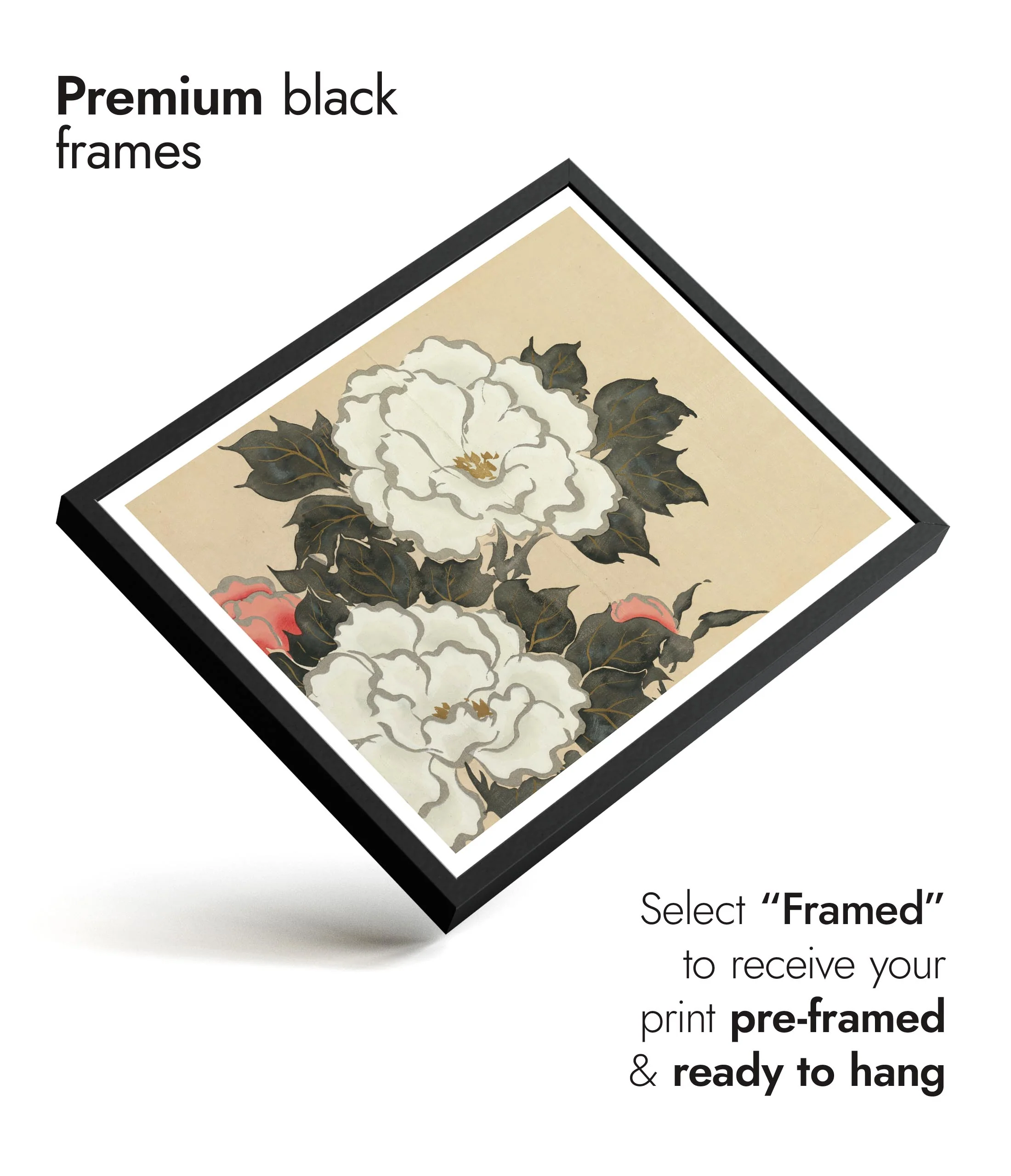 Peonies - Image 7