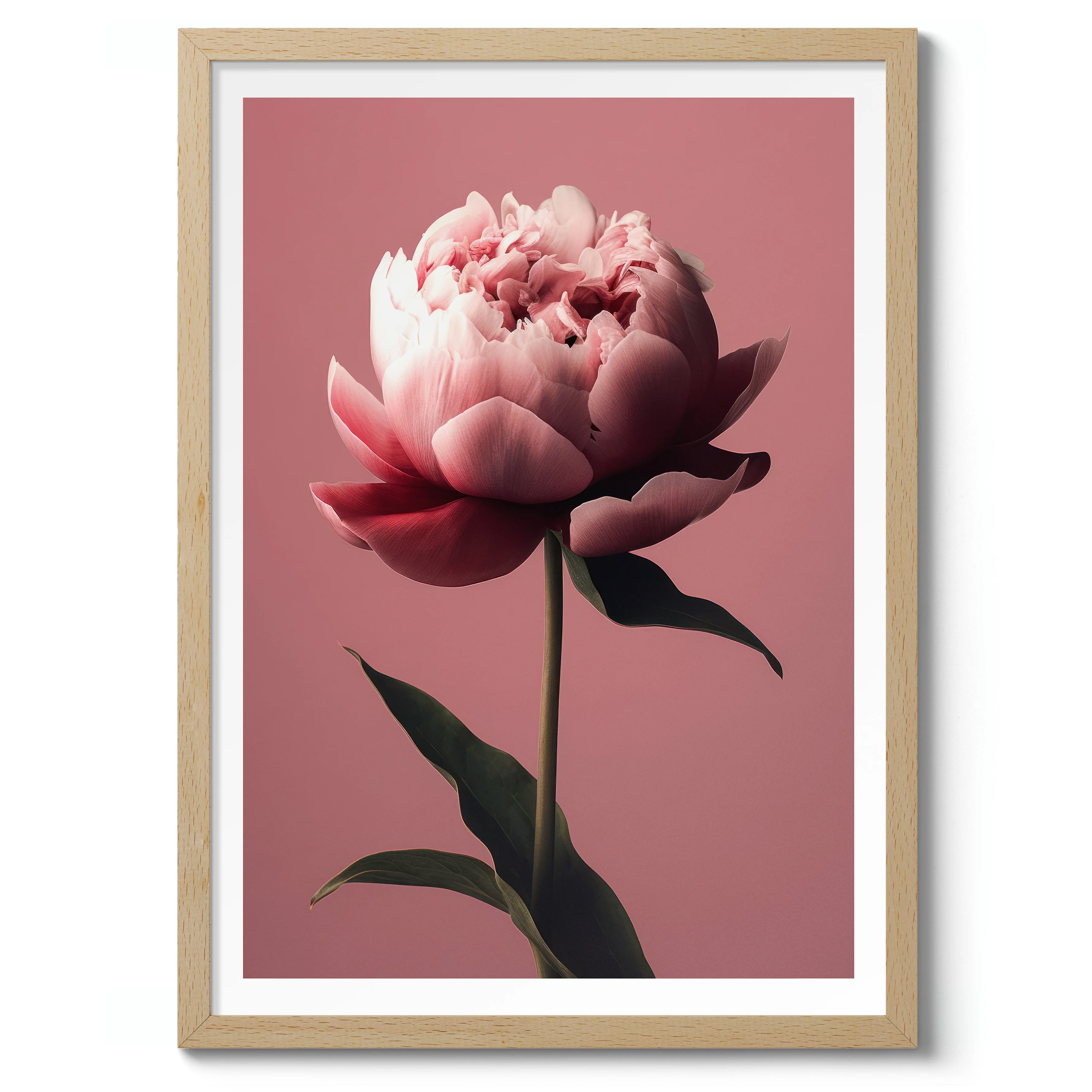 Peony - Image 3