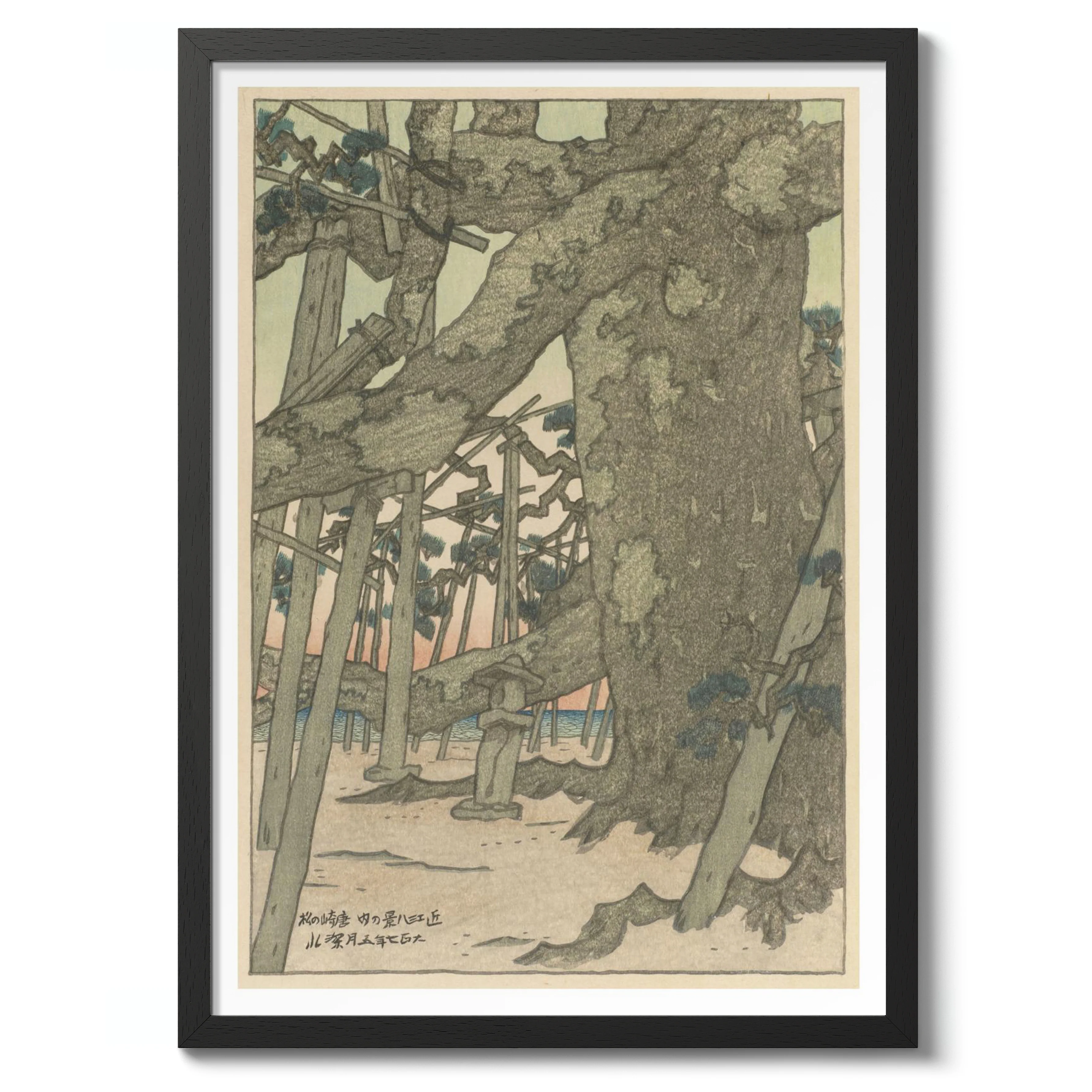 Pine trees at Karasaki - Image 2