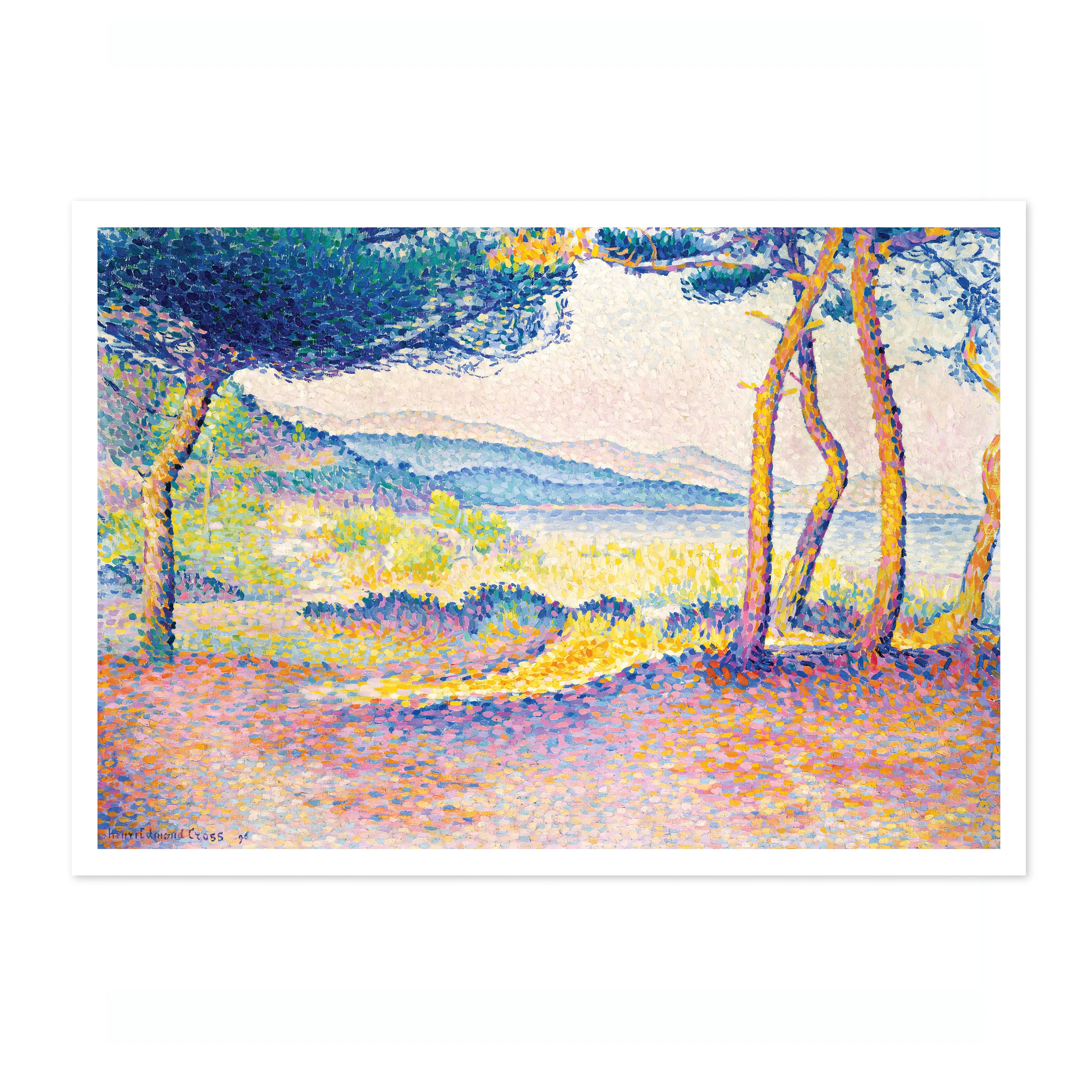 Pines Along the Shore - Image 4
