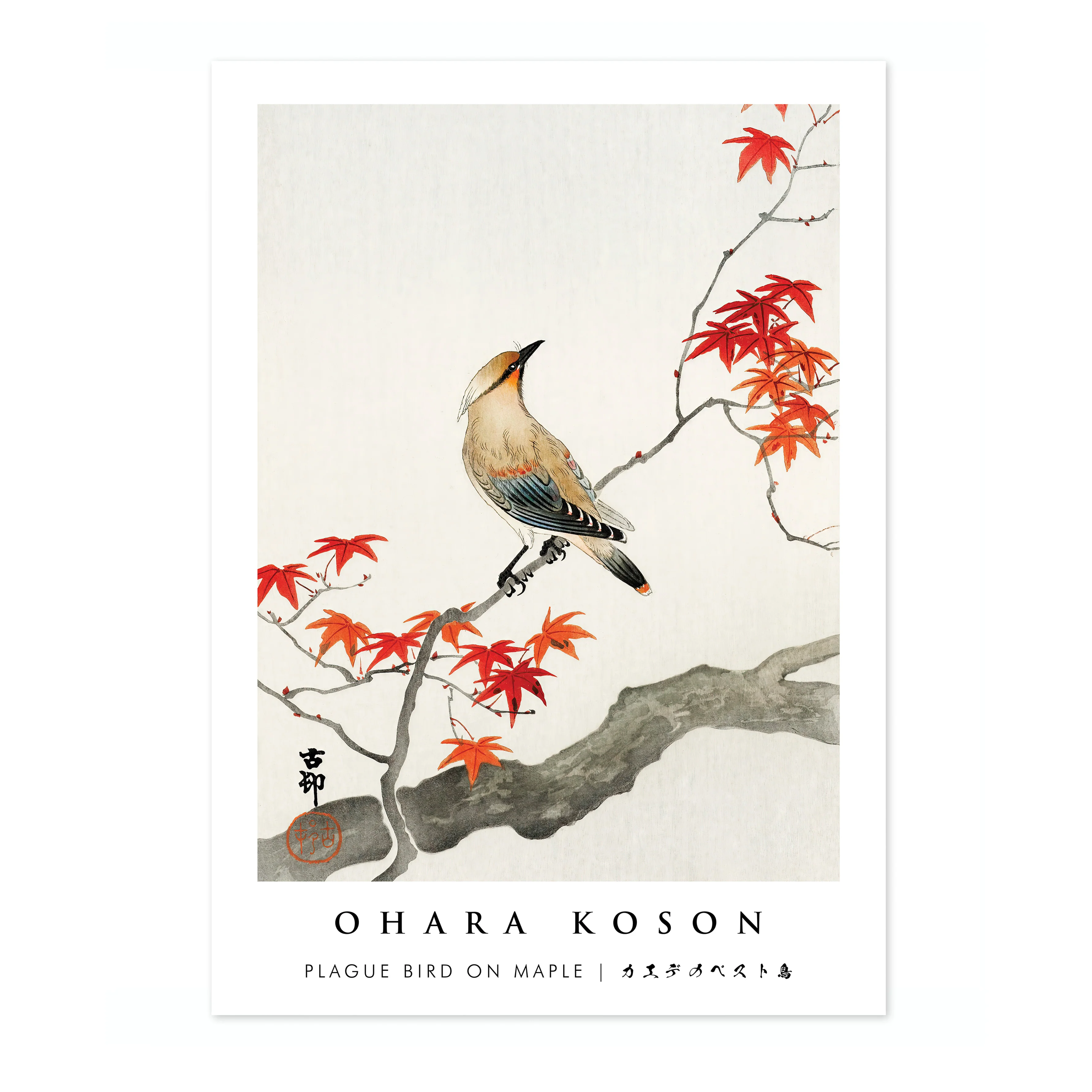 Plague Bird on Maple - Image 4