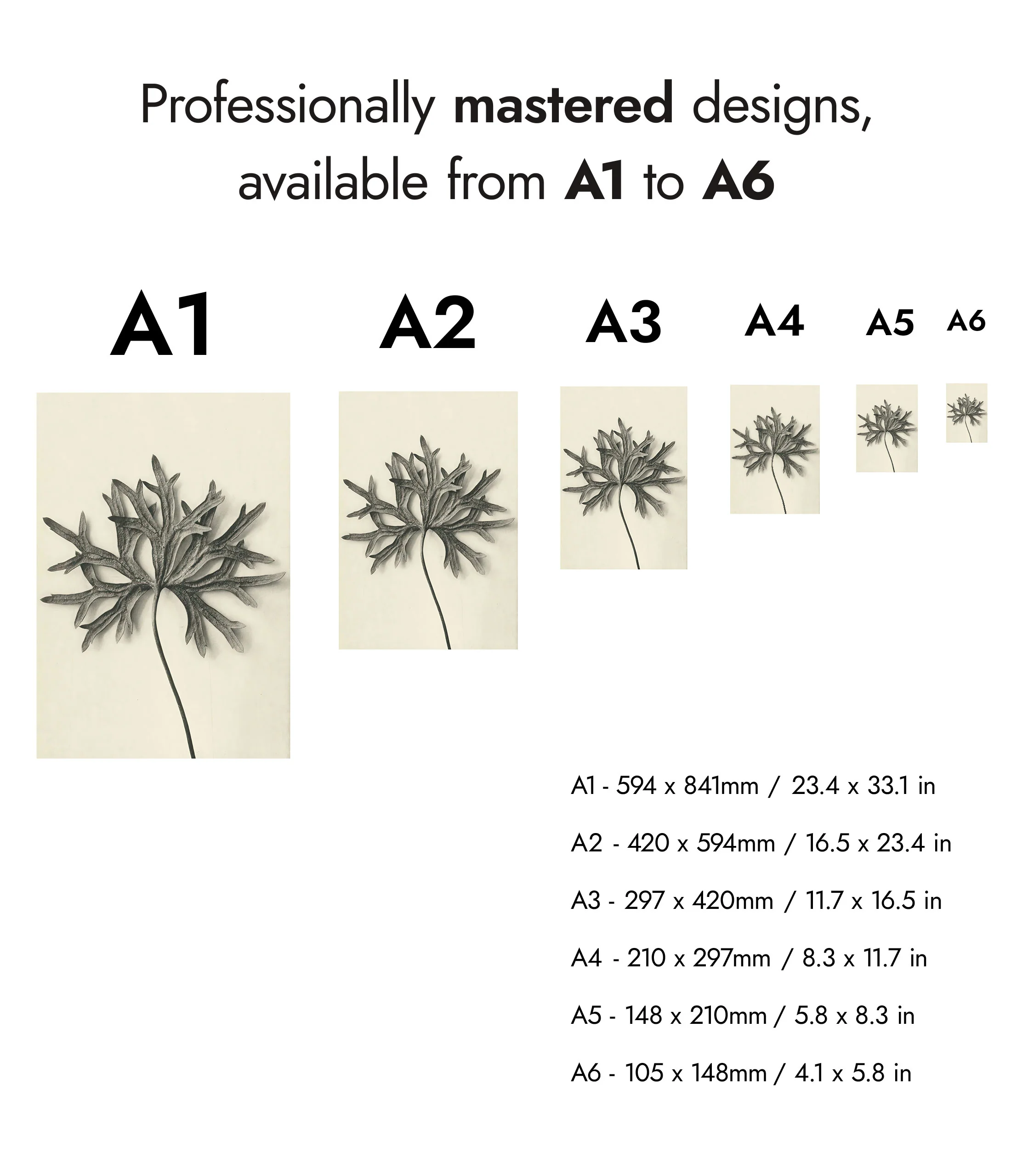 Plantstudie 7 - Image 8