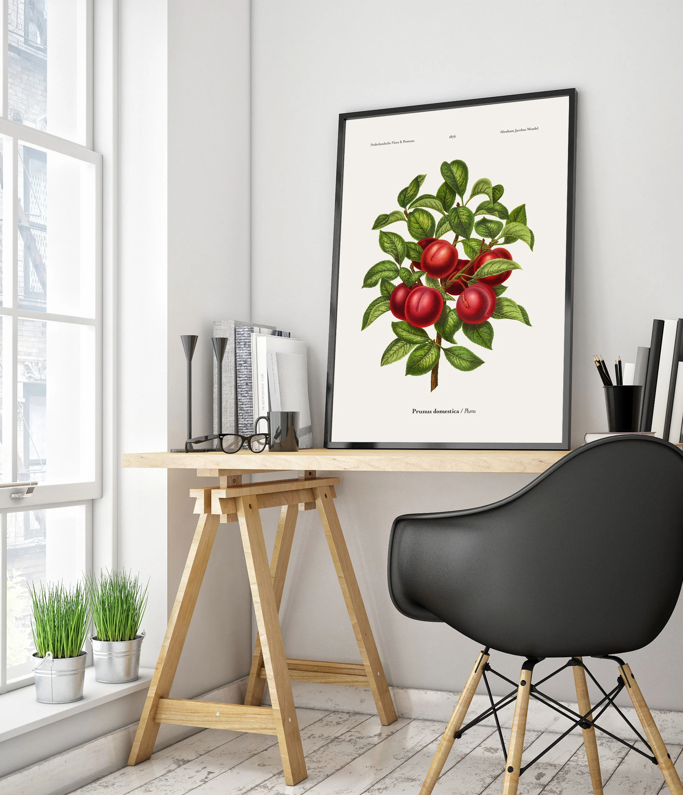 Plums - Image 5