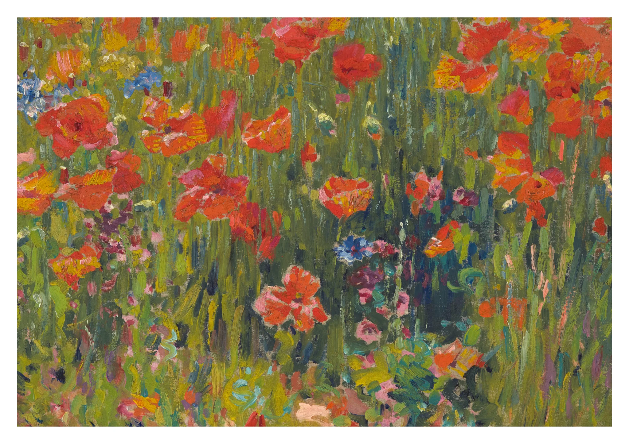 Poppies