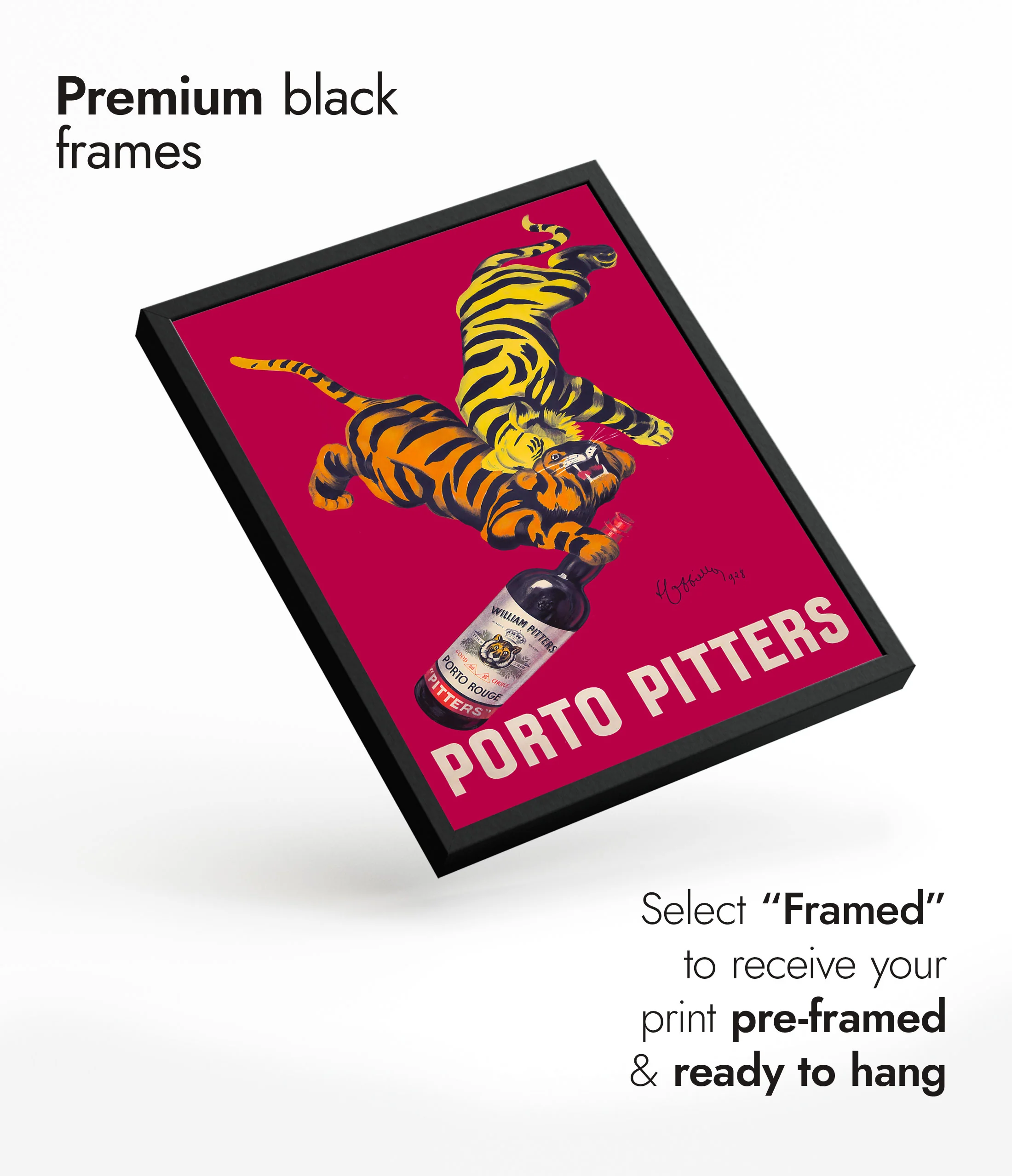 Porto Pitters - Image 7