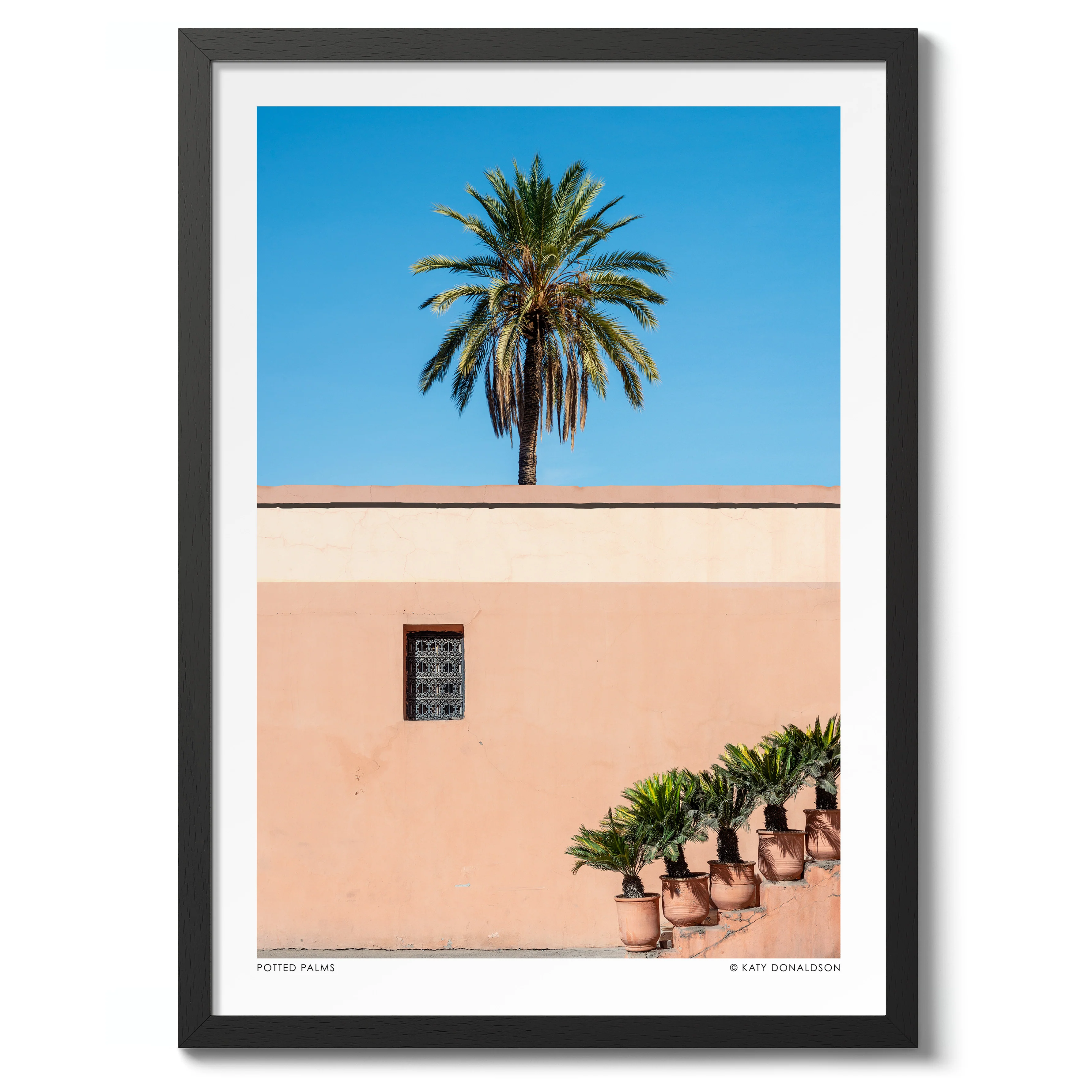 Potted Palms - Image 2