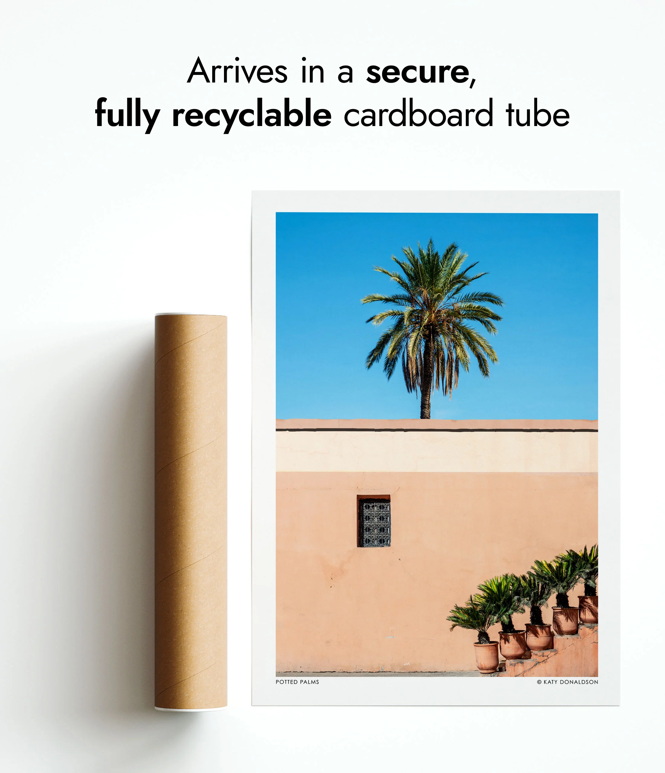 Potted Palms - Image 9