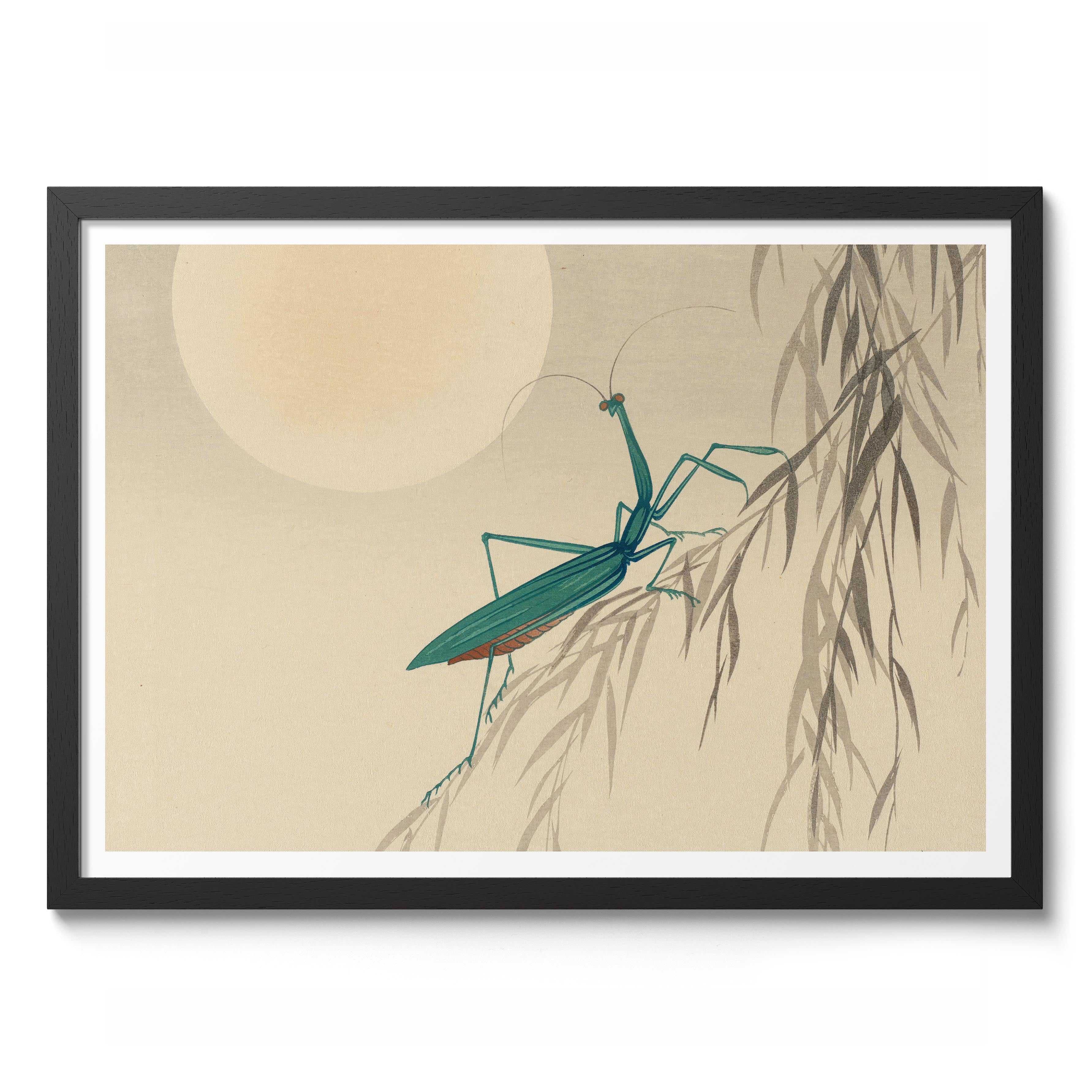 Praying Mantis & Full Moon - Image 2