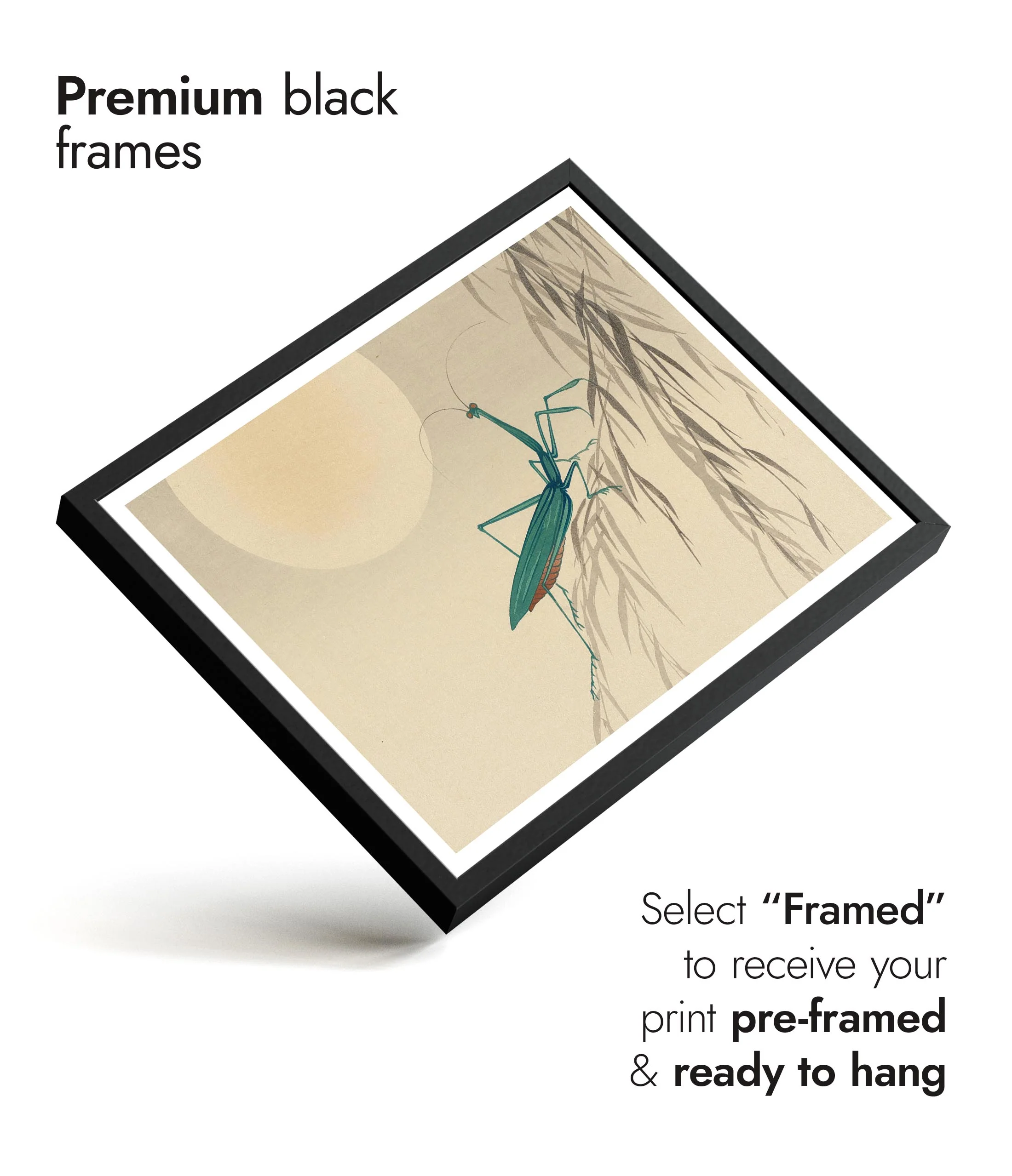 Praying Mantis & Full Moon - Image 7