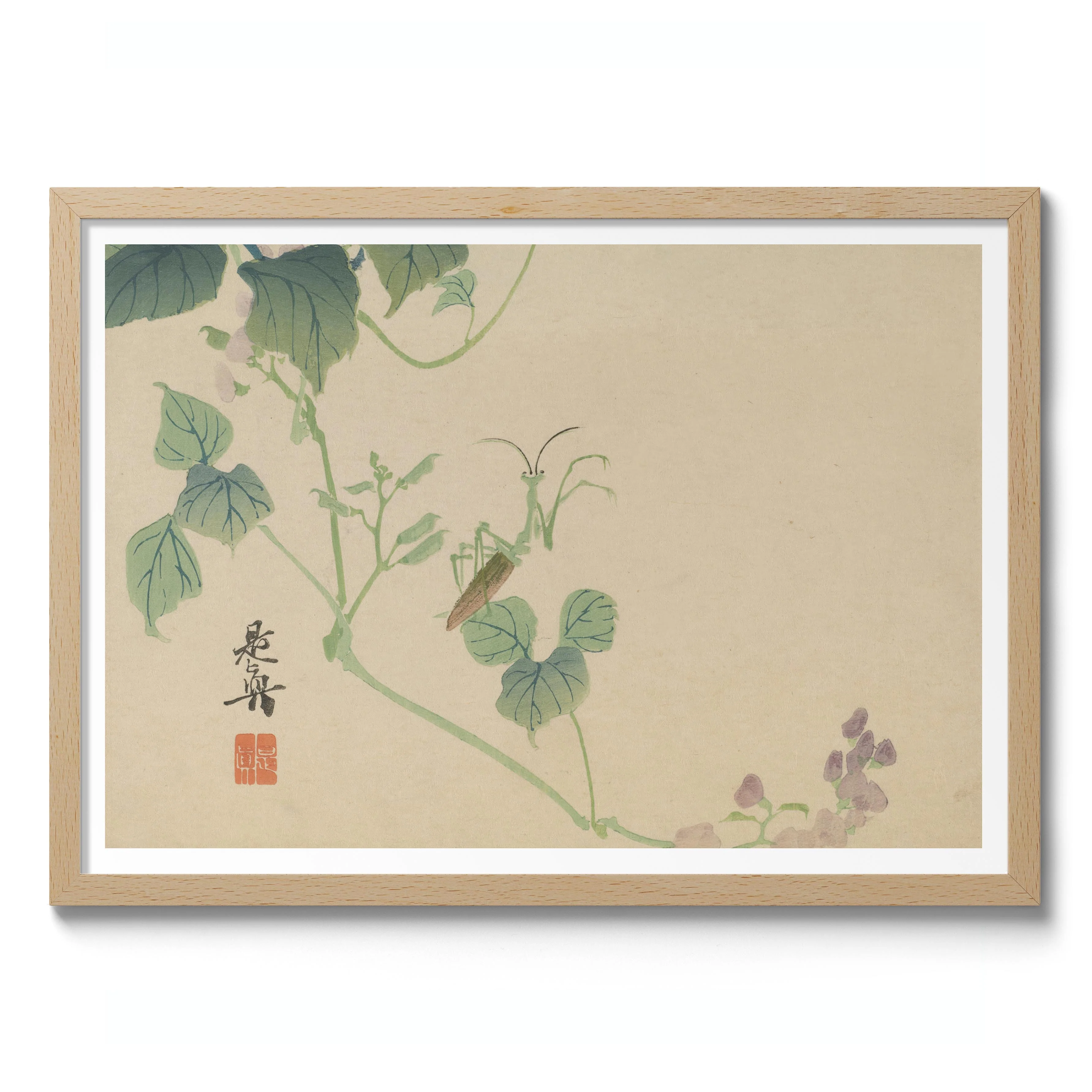 Praying Mantis & Sweet Pea - Image 3