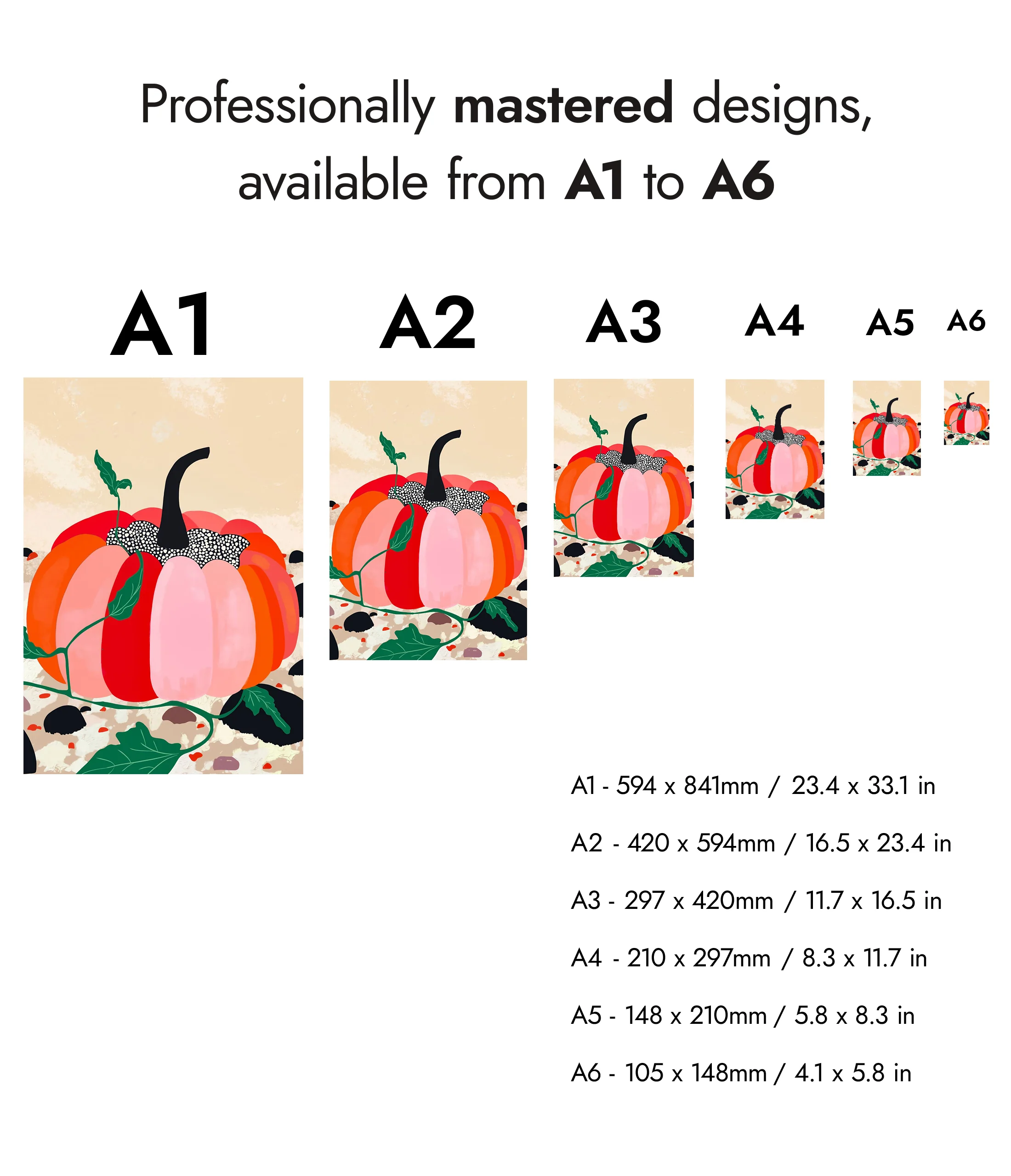 Pumpkin - Image 8
