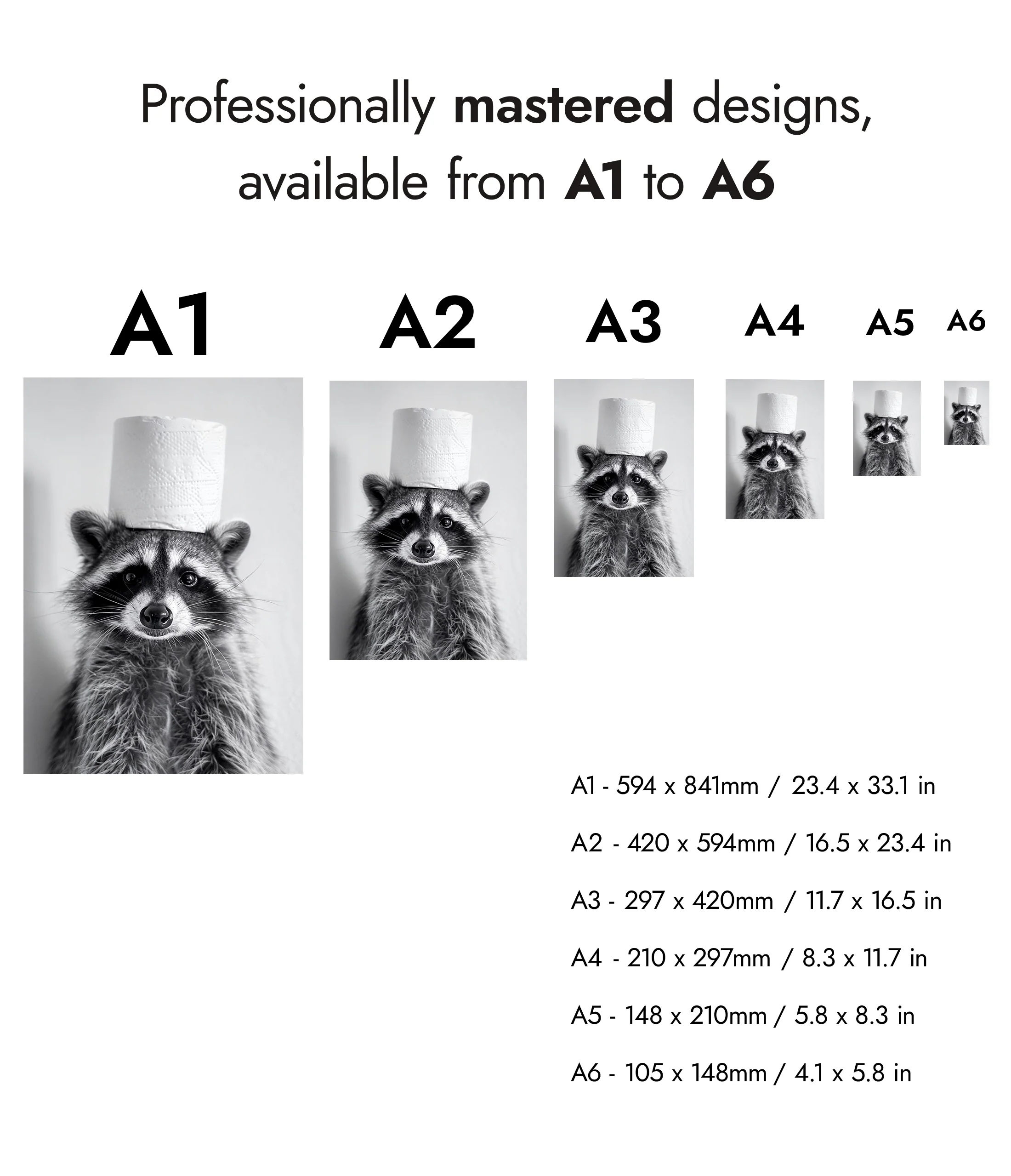Racoon - Image 8