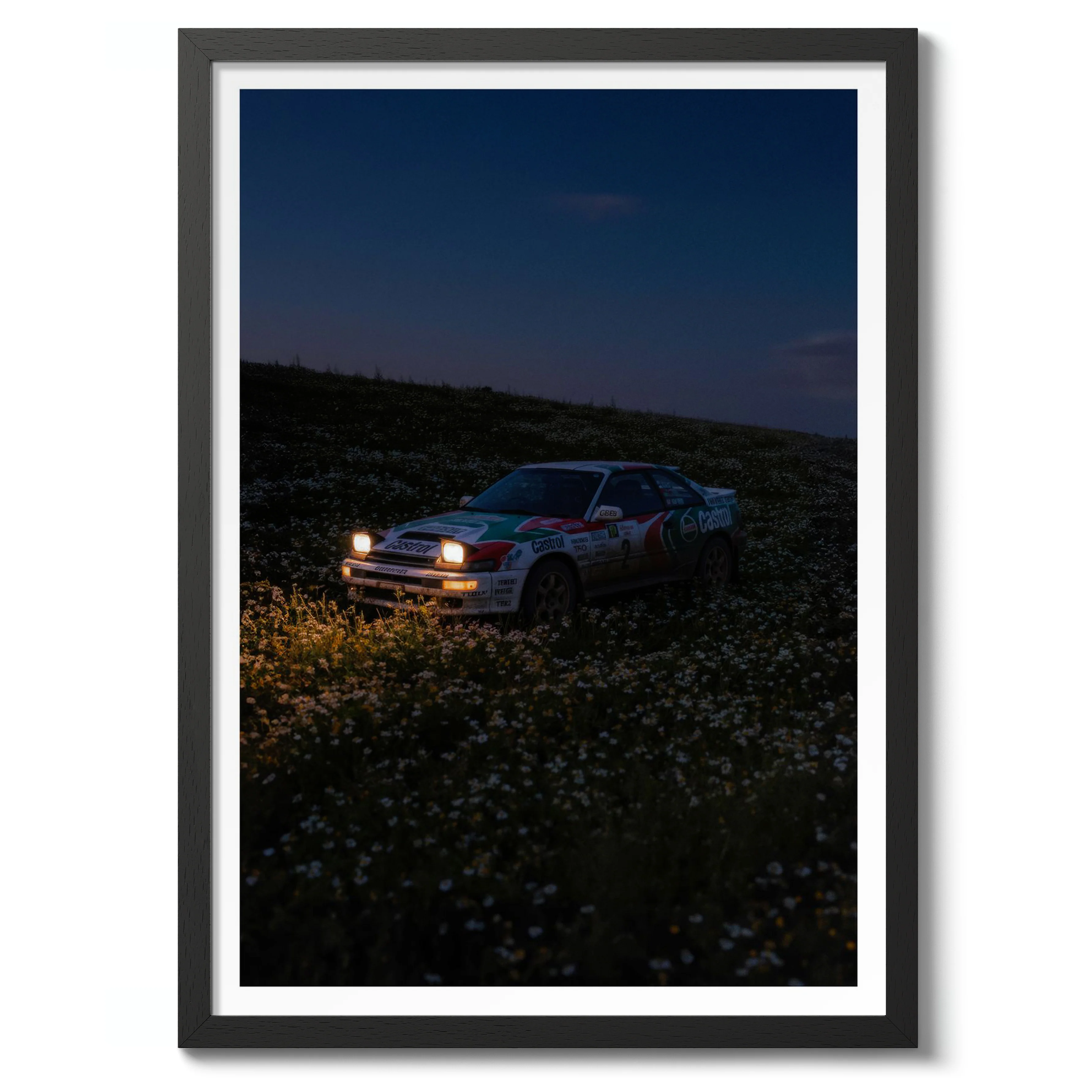 Rally Meadow, Dusk - Image 2