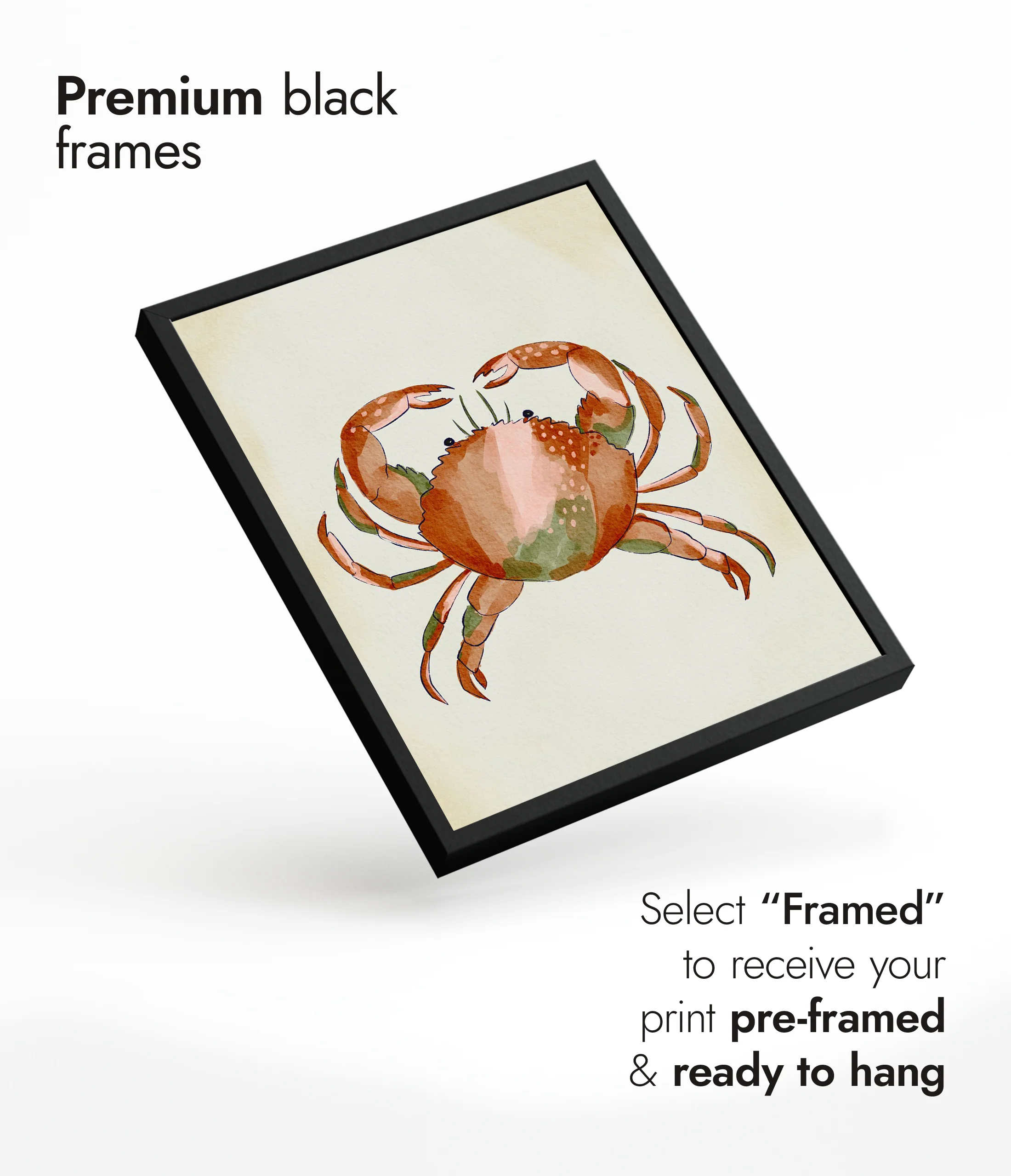 Red Crab - Image 7