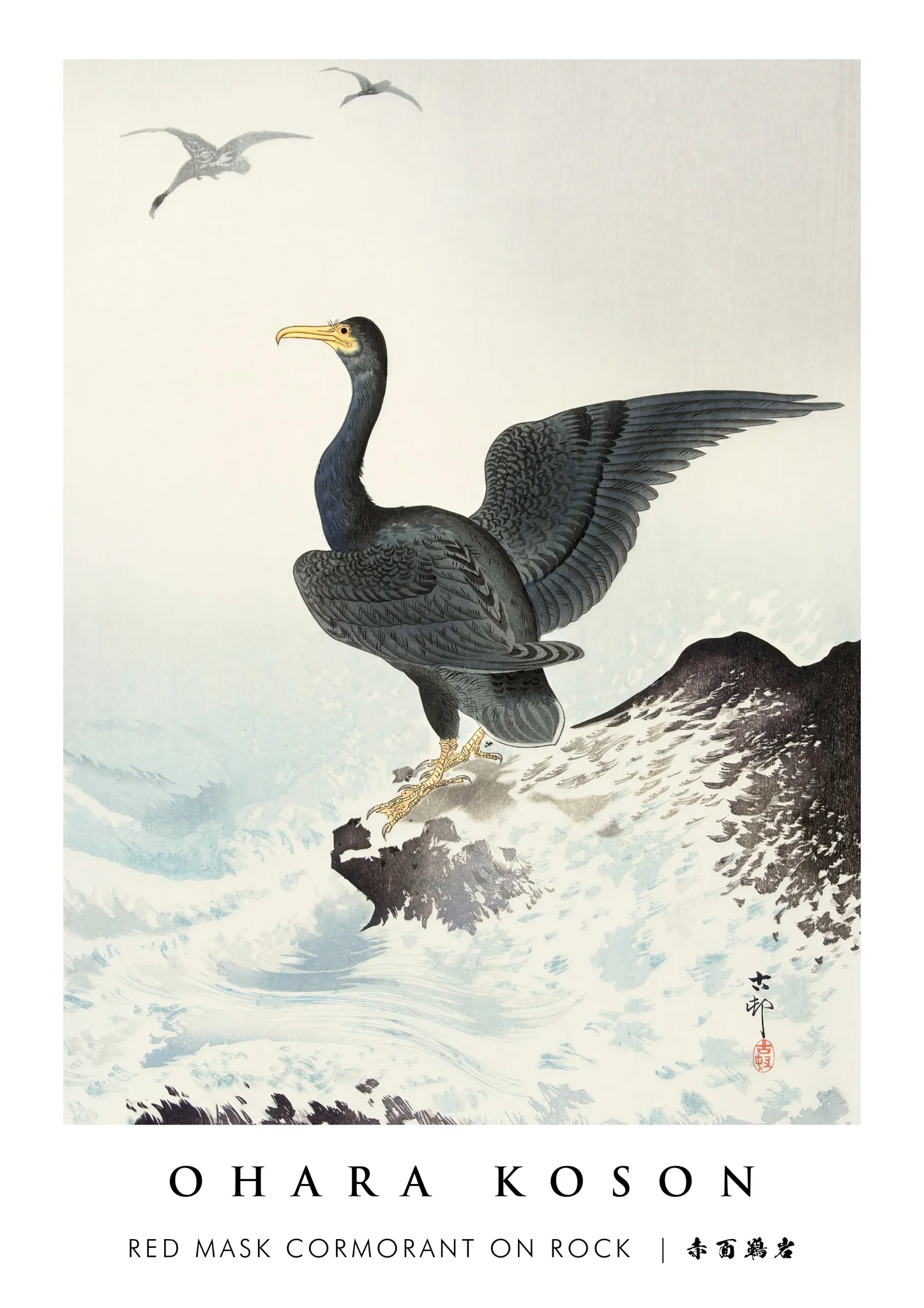 Red Mask Cormorant on Rock