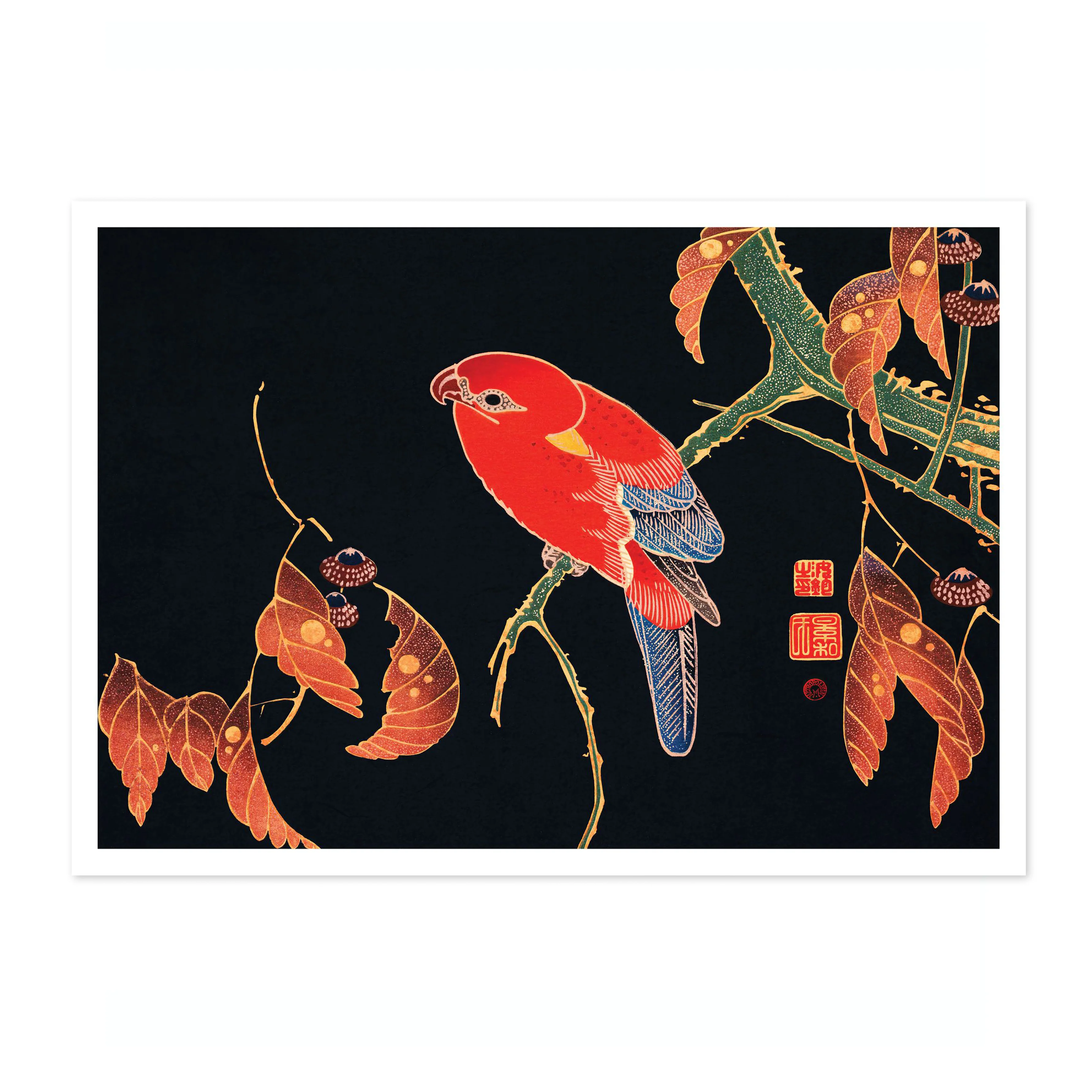 Red Parrot - Image 4