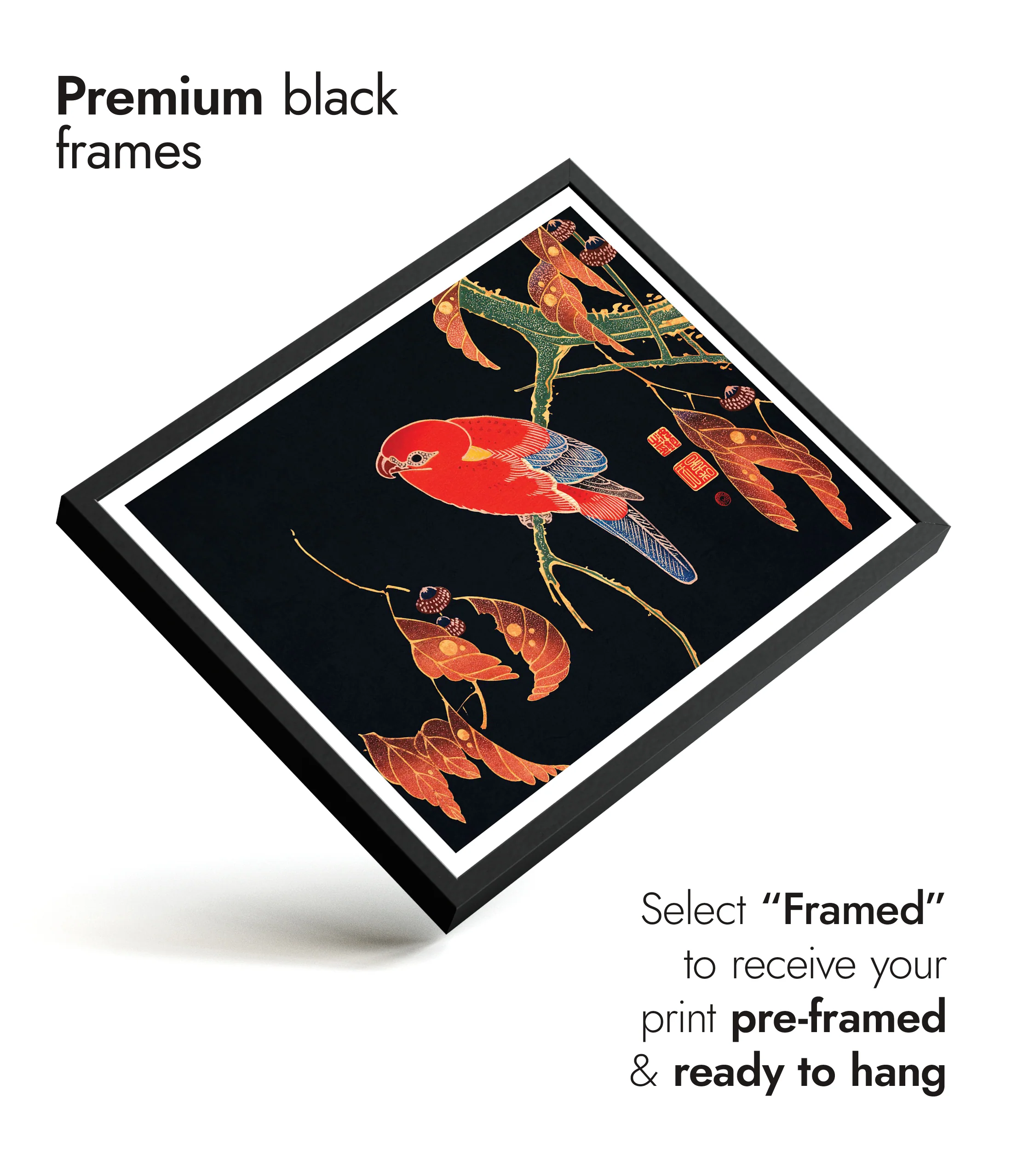 Red Parrot - Image 7