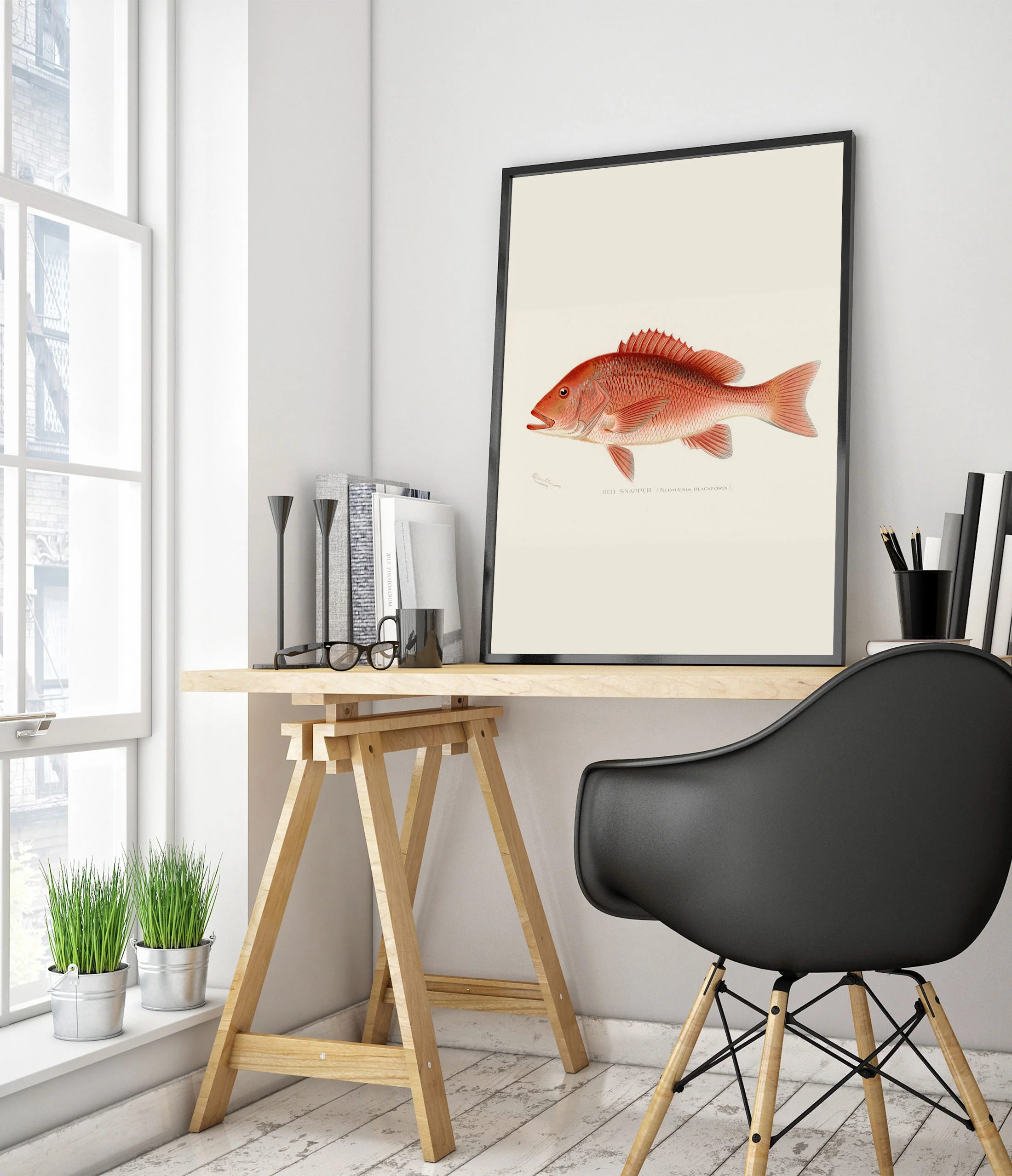 Red Snapper - Image 5