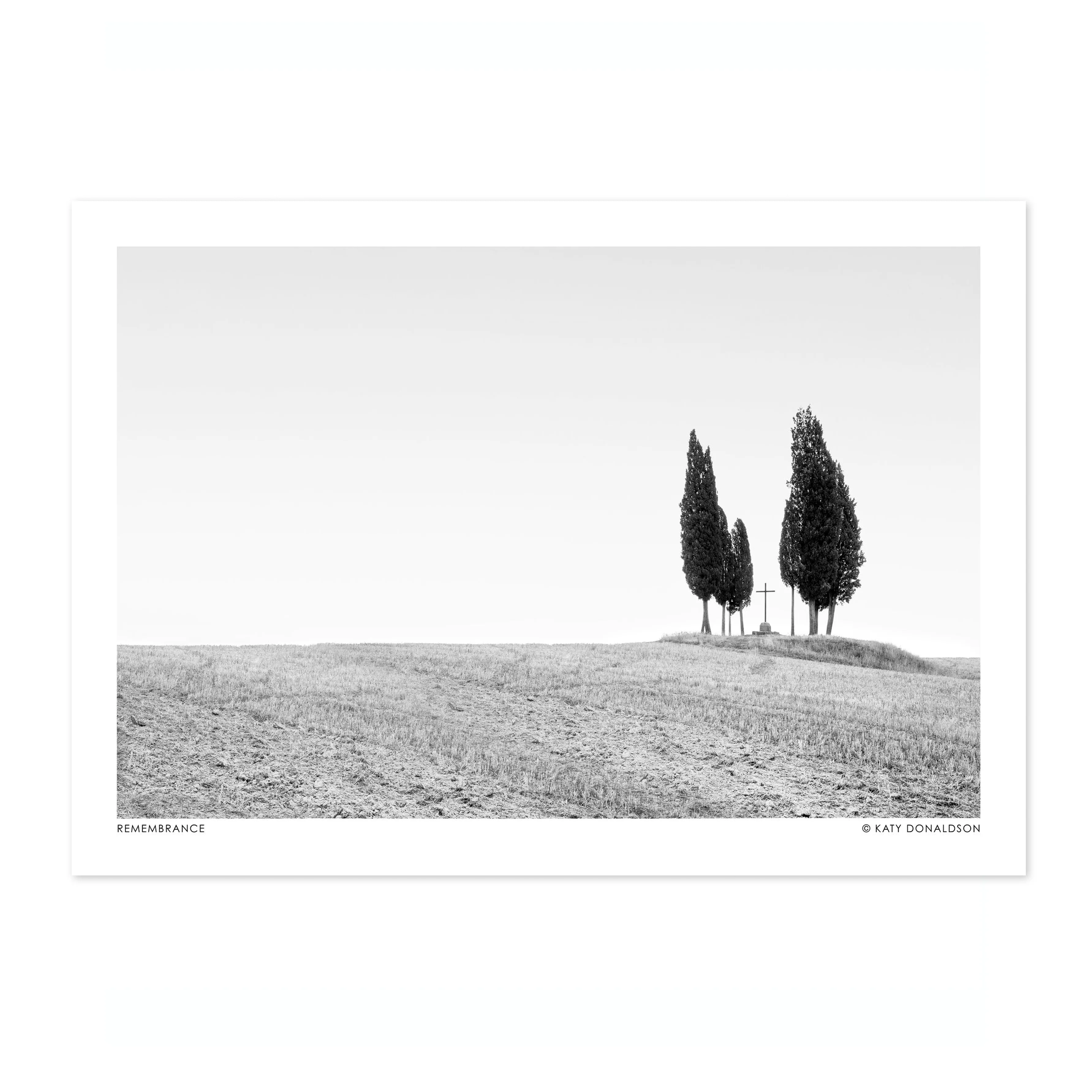 Remembrance Landscape - Image 4