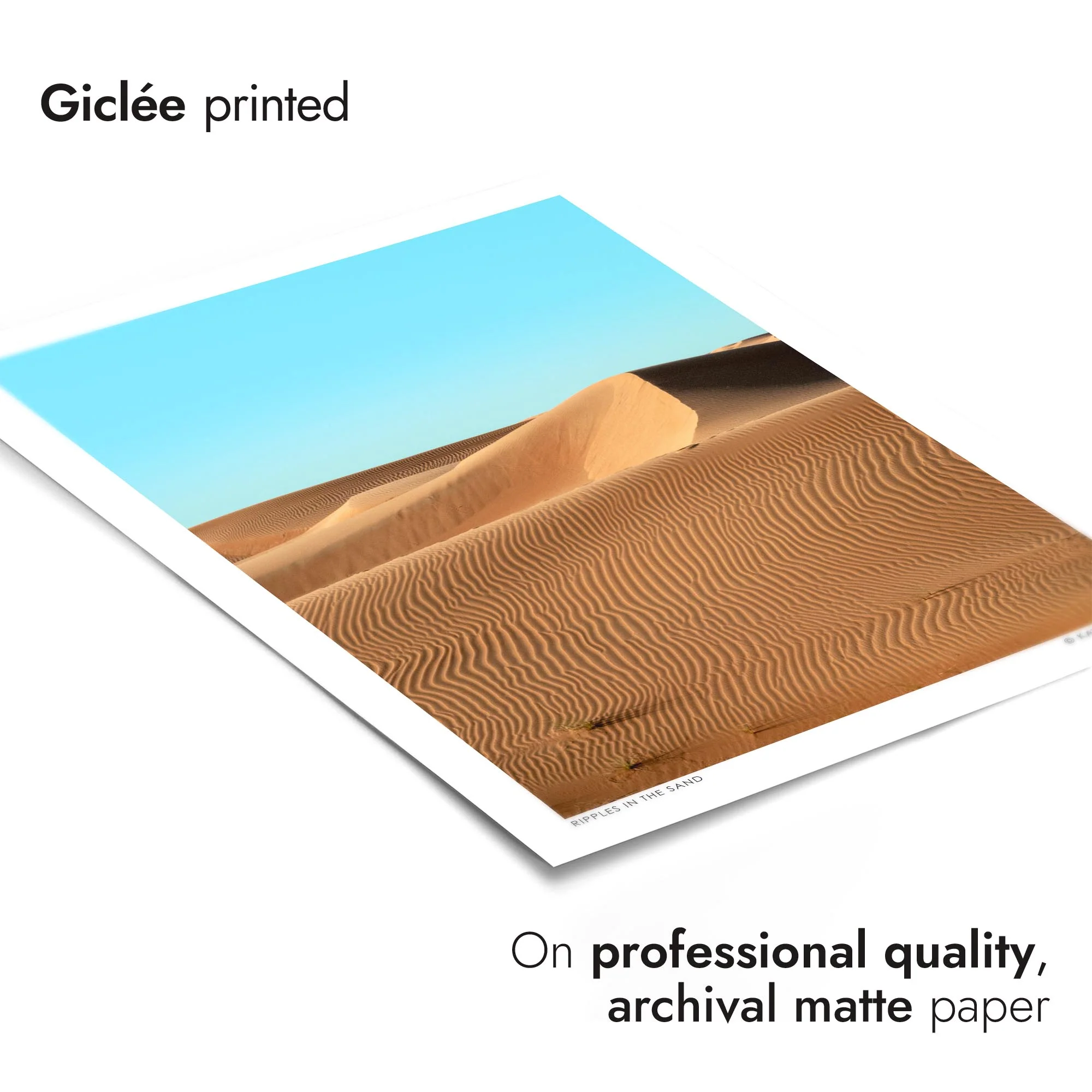 Ripples in the Sand - Image 6