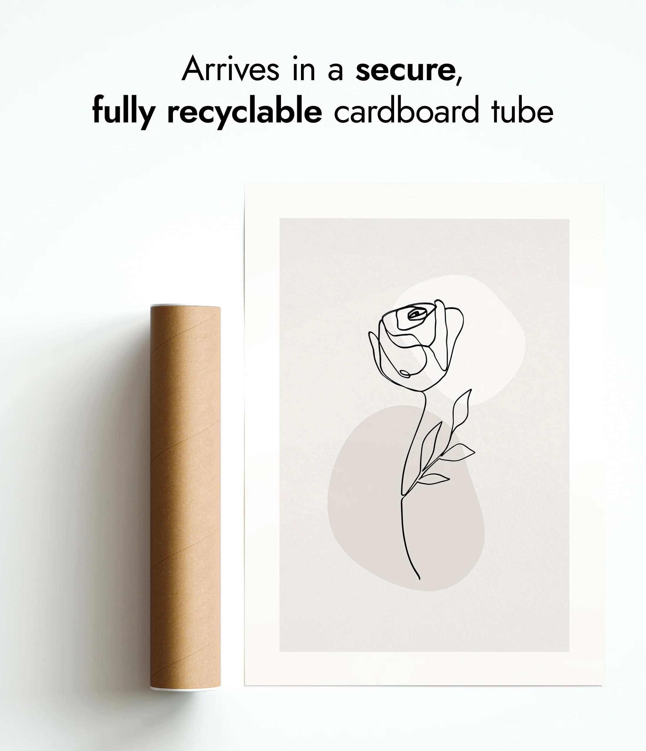Rose - Image 9