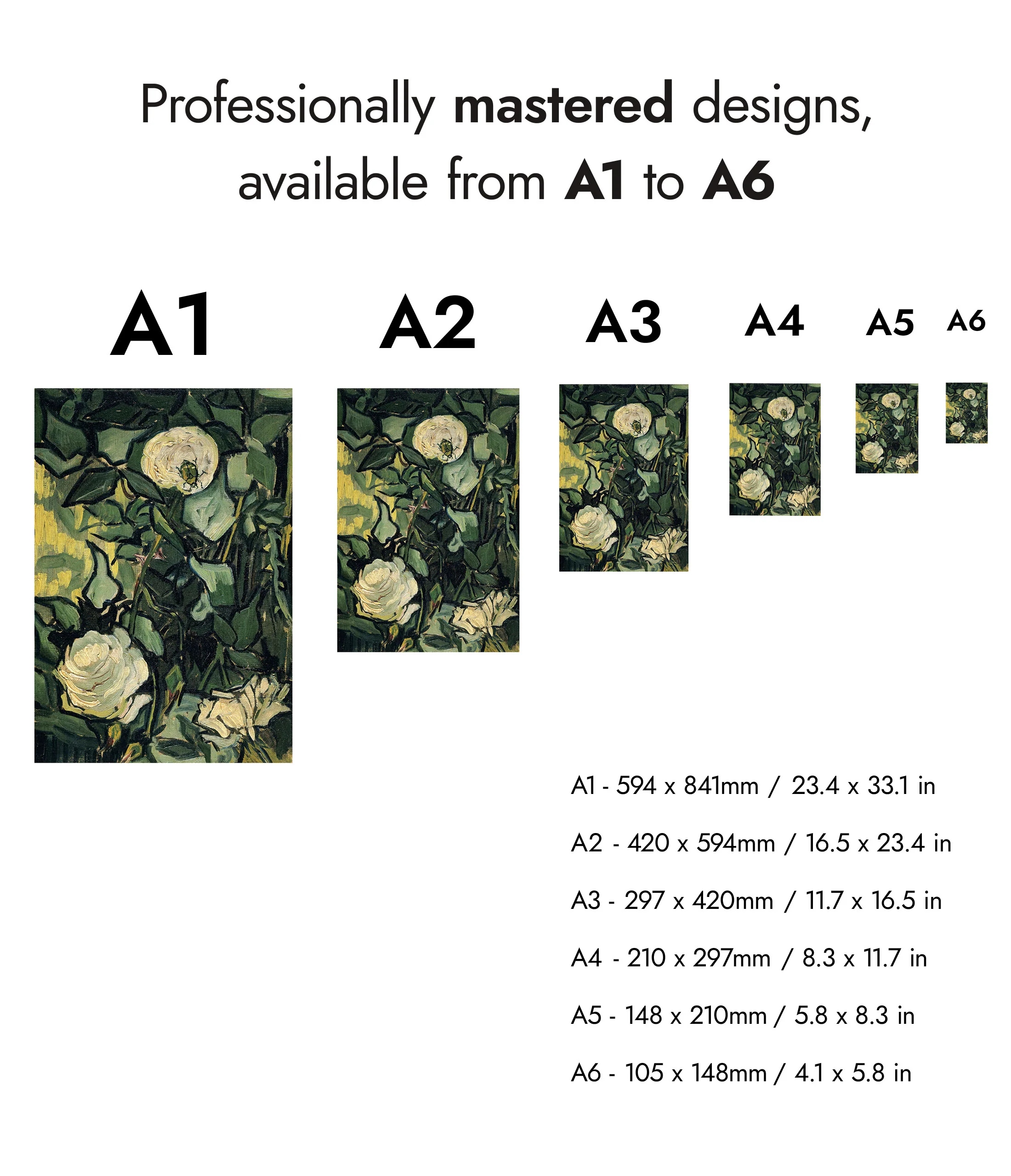 Roses - Image 8