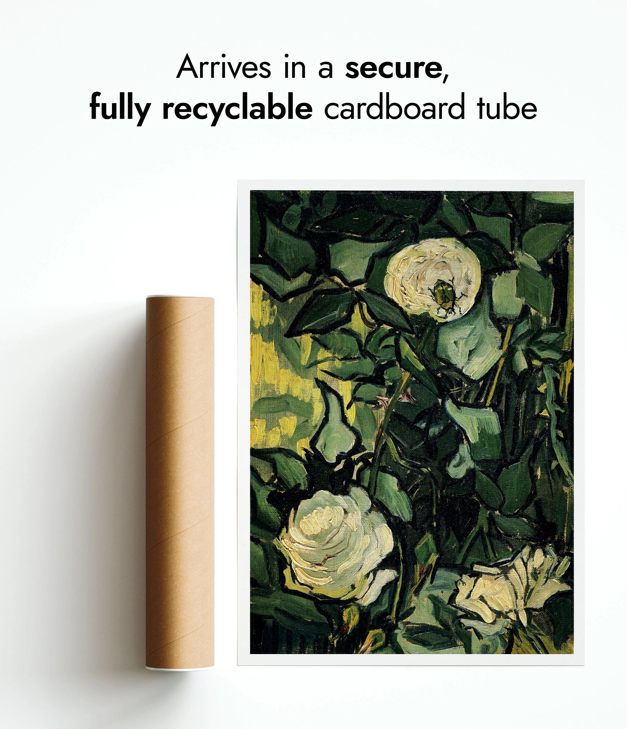 Roses - Image 9