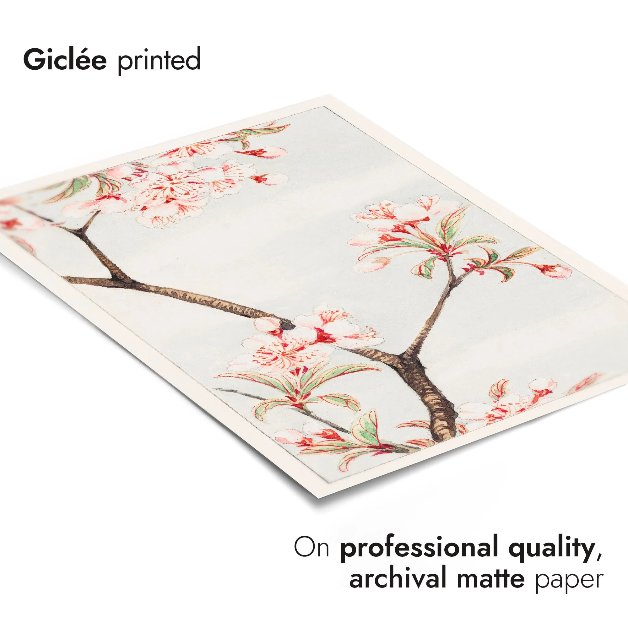 Sakura Cherry - Image 6