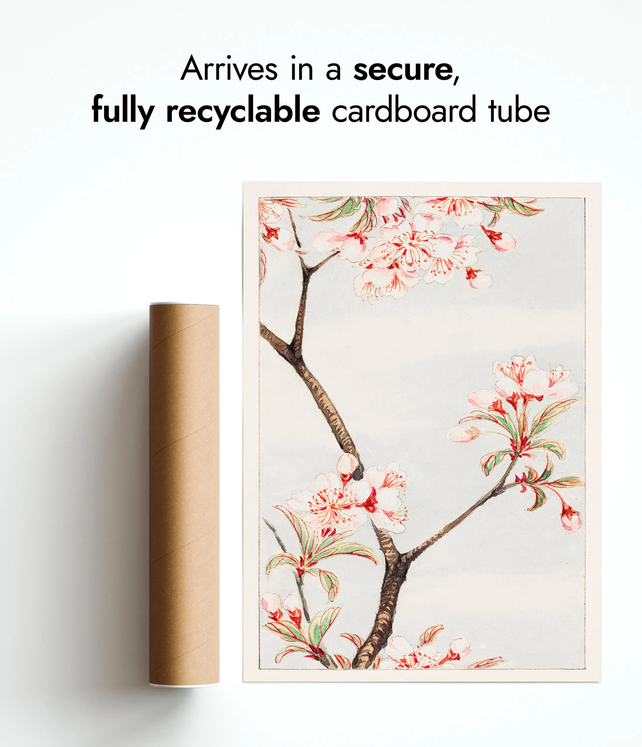 Sakura Cherry - Image 9
