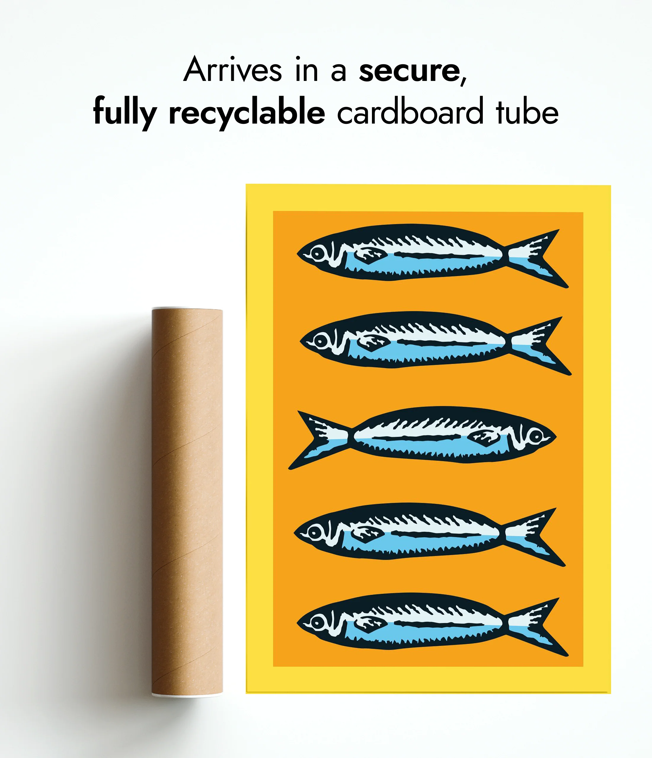 Sardines Orange - Image 9