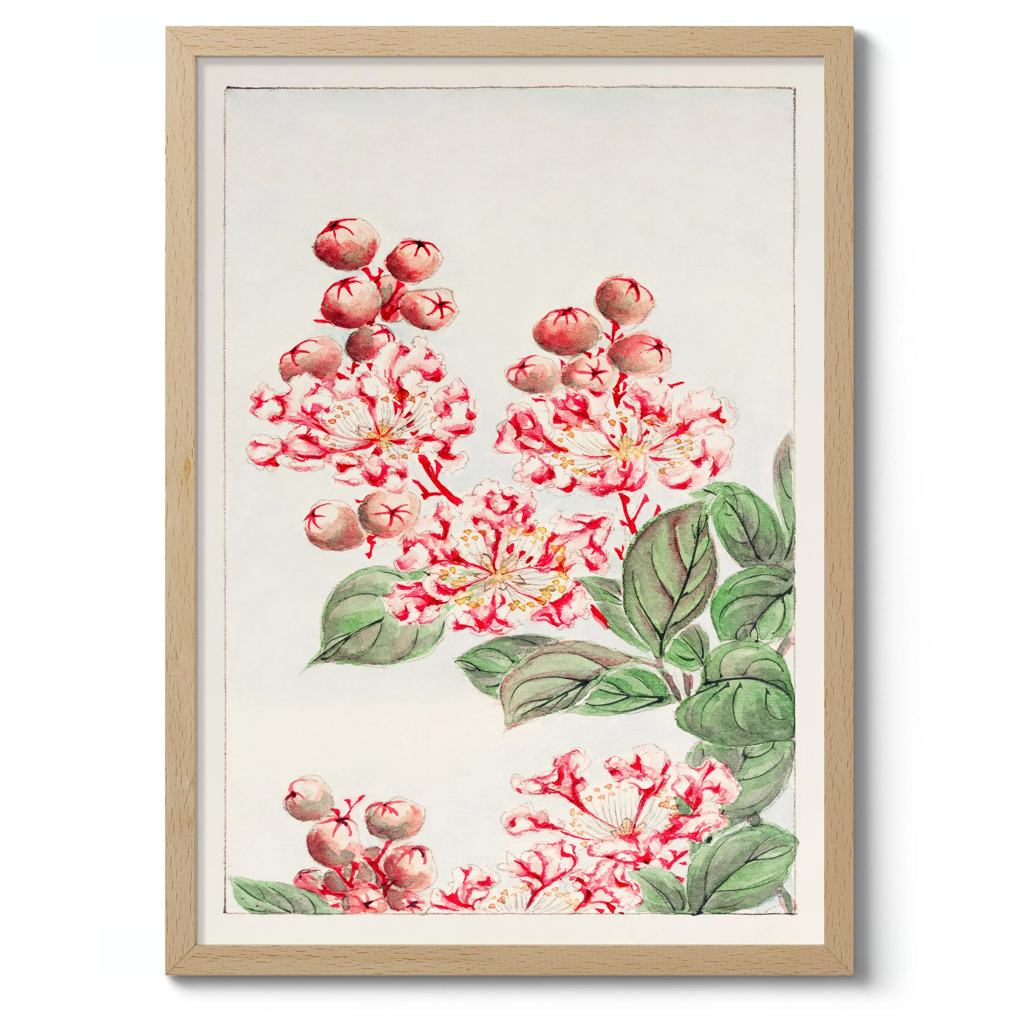Sarusubi Blossoms - Image 3