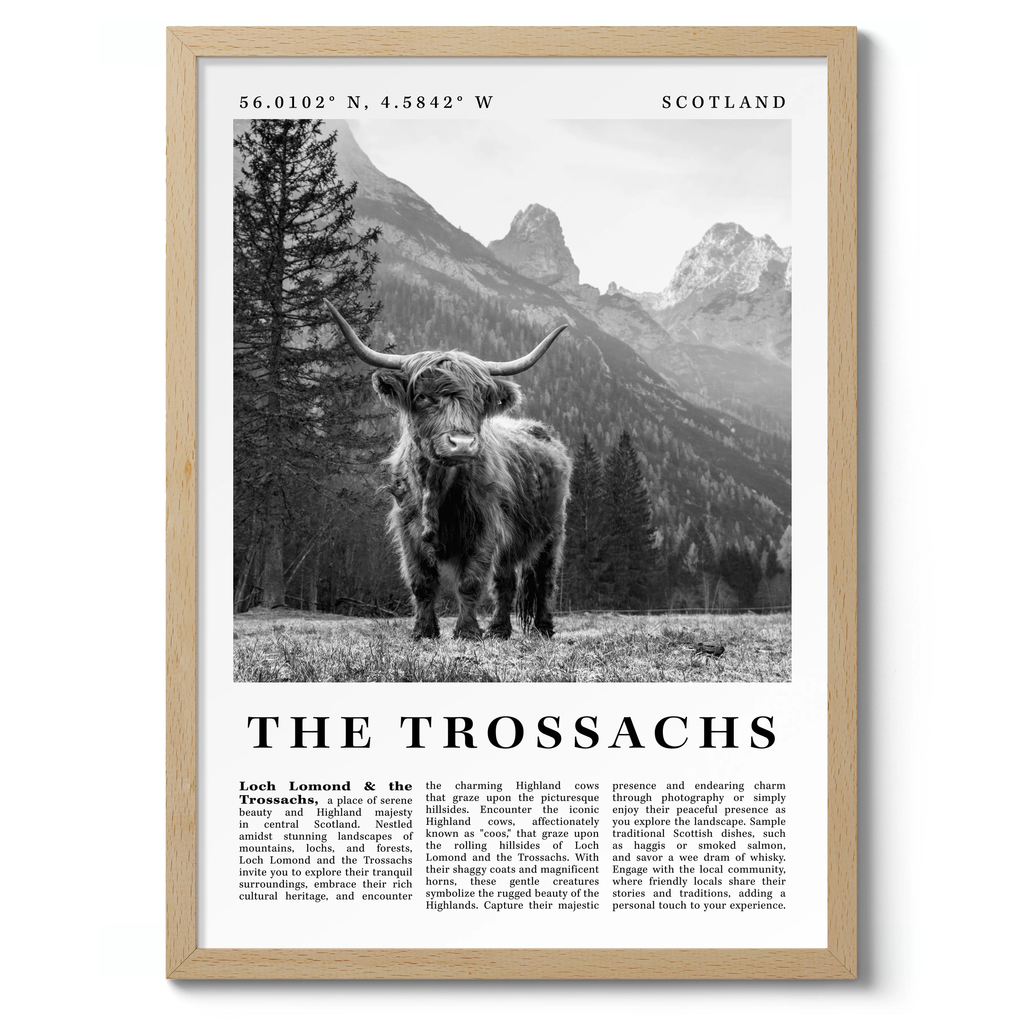 The Trossachs - Scotland - Image 3