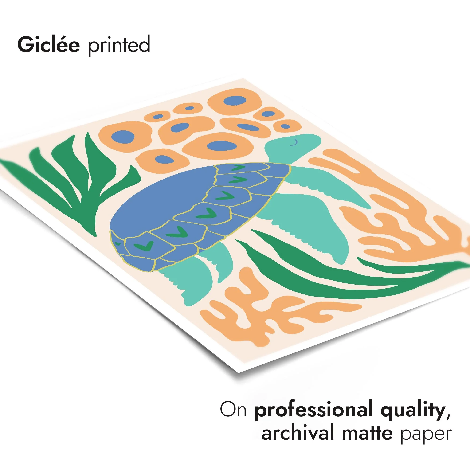 Sea Life - Image 5