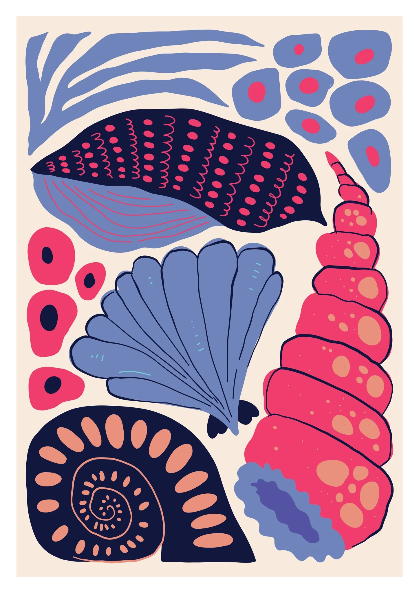 Sea Shells