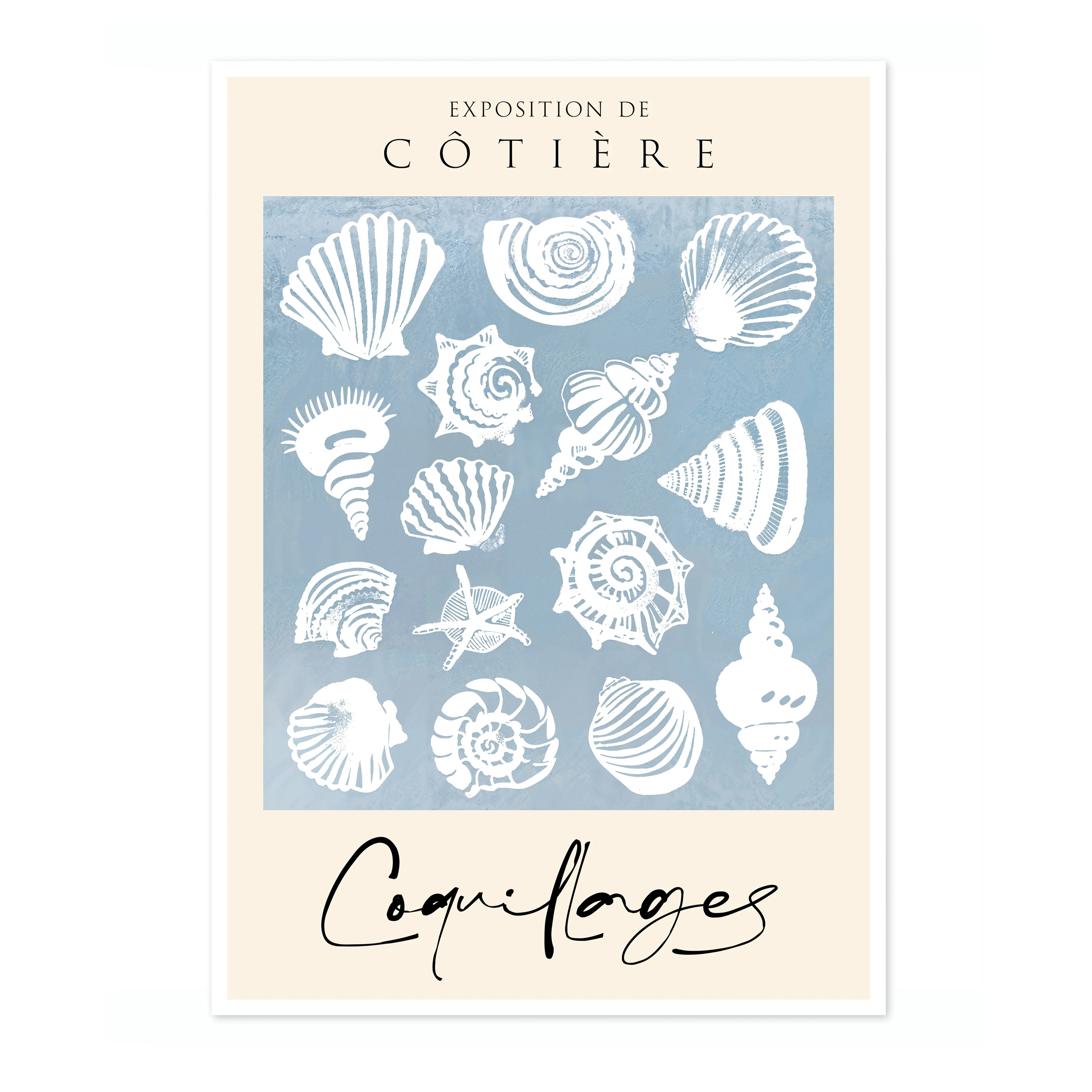 Sea Shells - Image 4