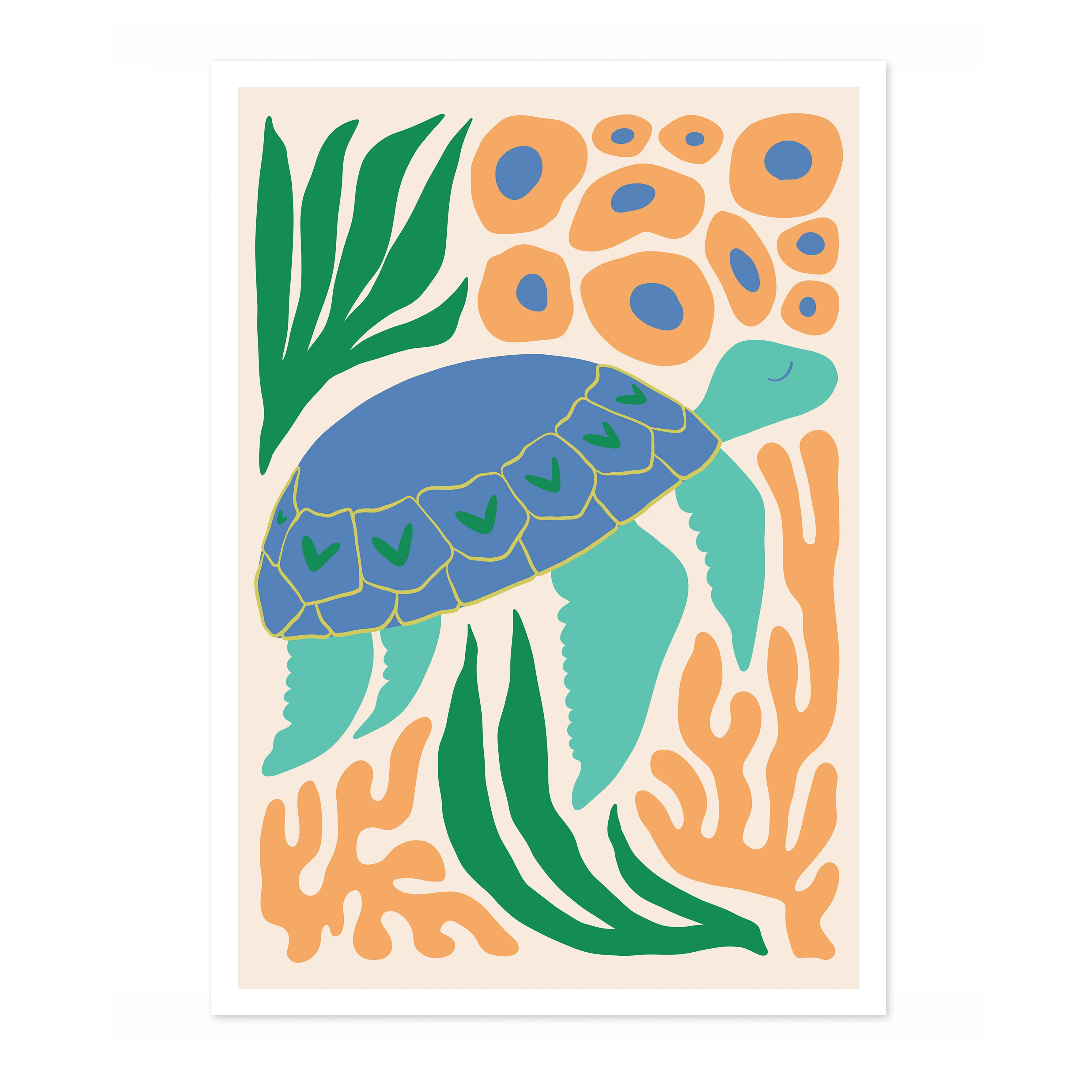 Sea Turtle - Image 4