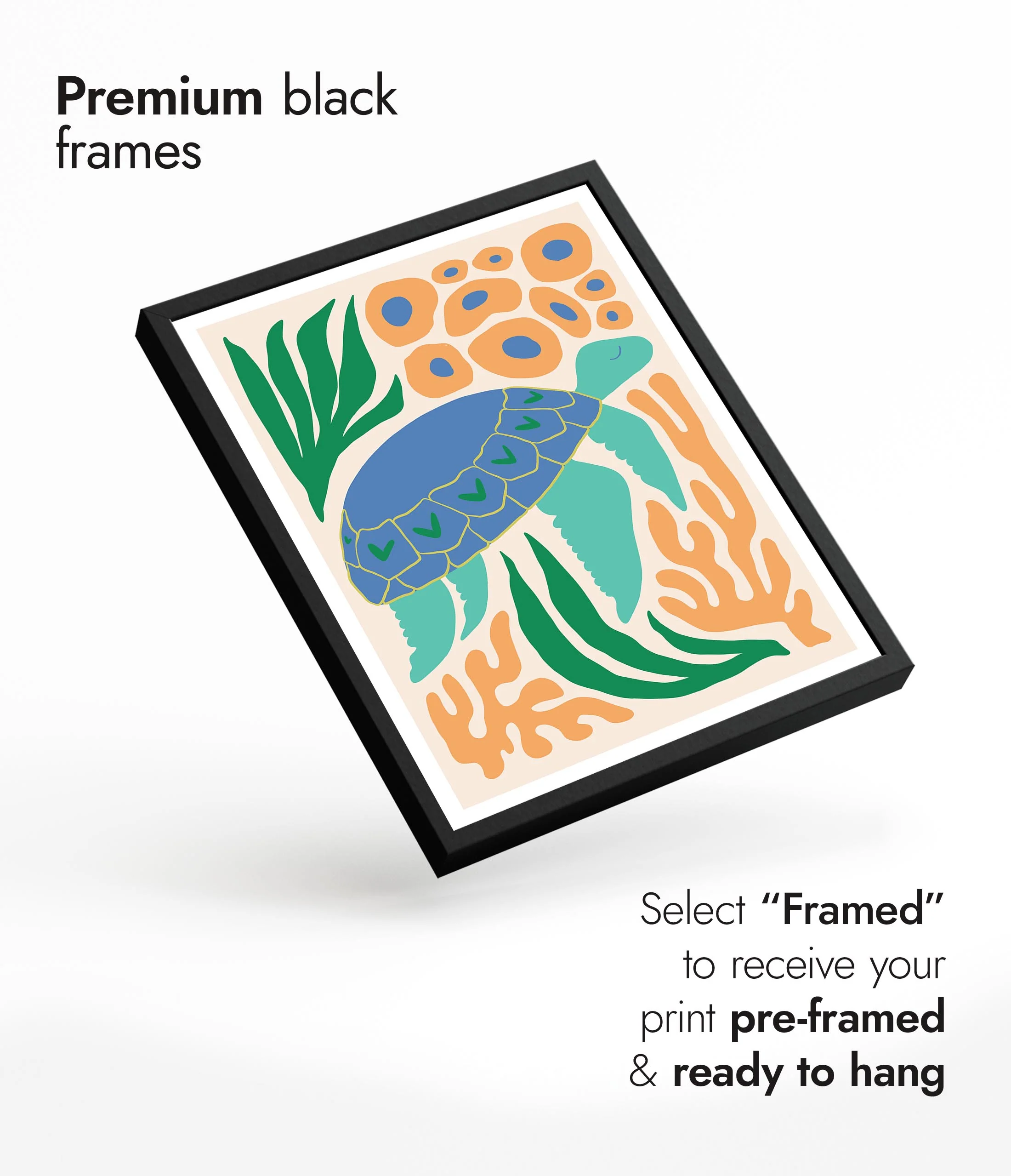Sea Turtle - Image 7