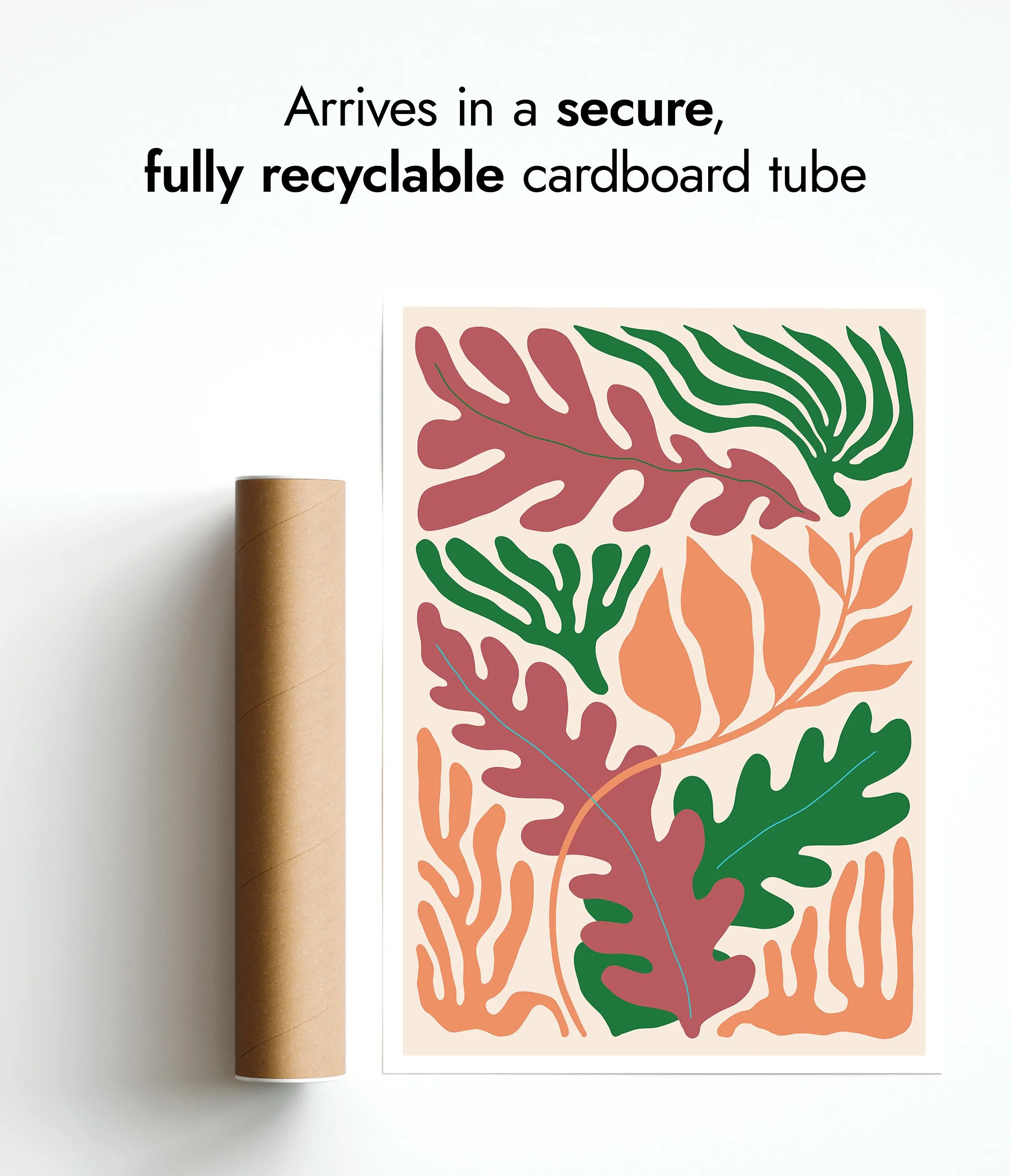 Seaweed - Image 9