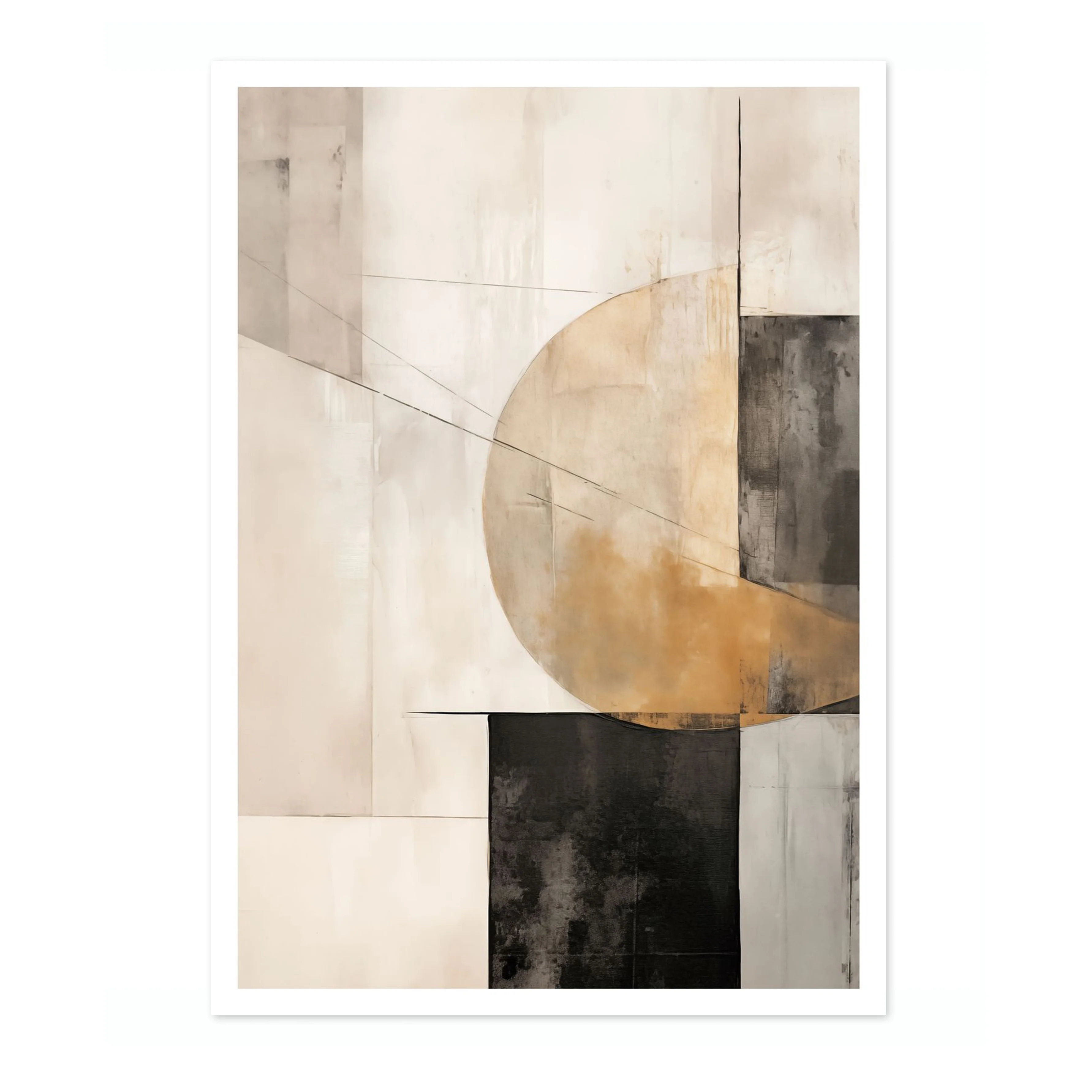 Shapes Dissected - Image 4