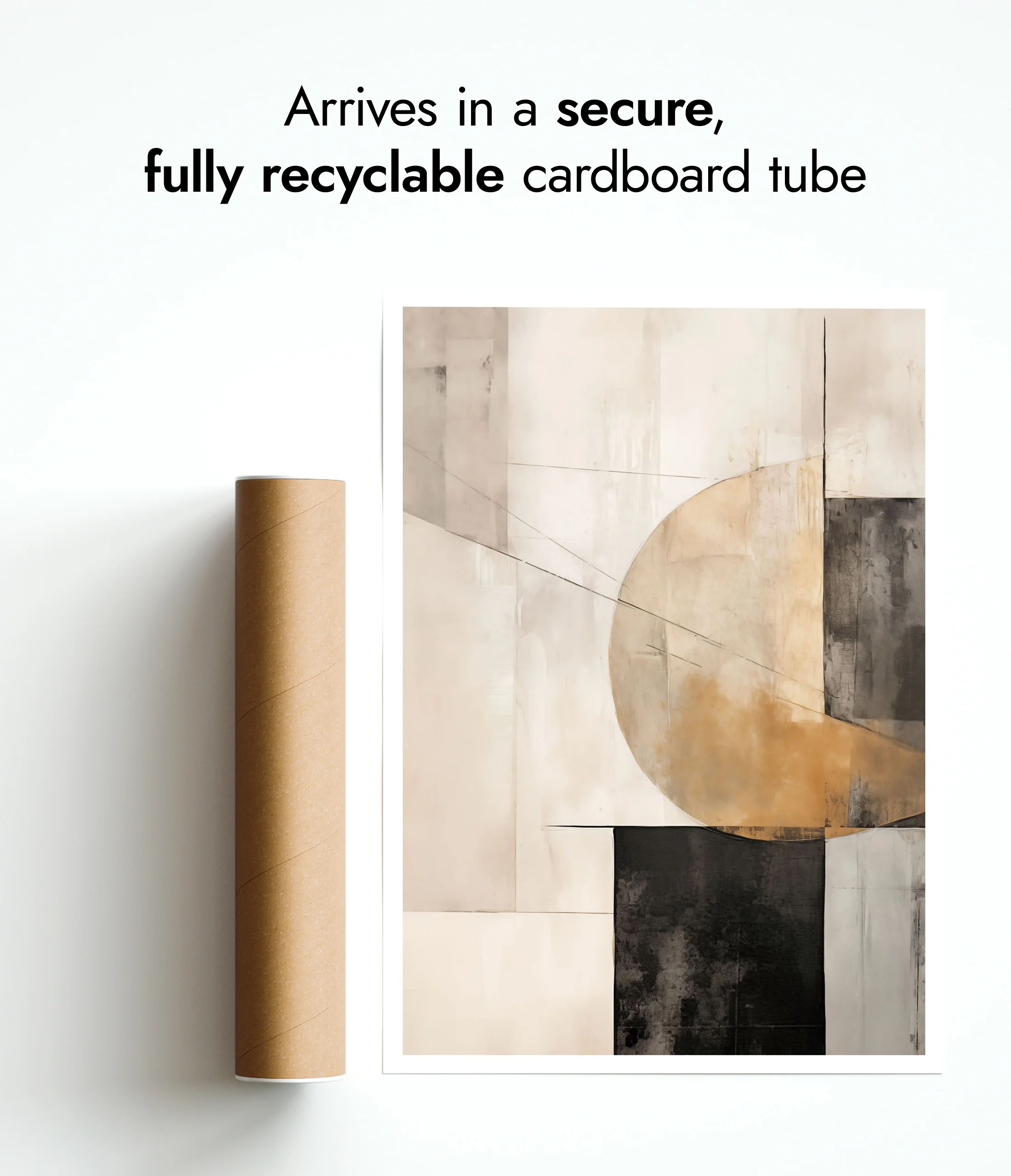 Shapes Dissected - Image 9