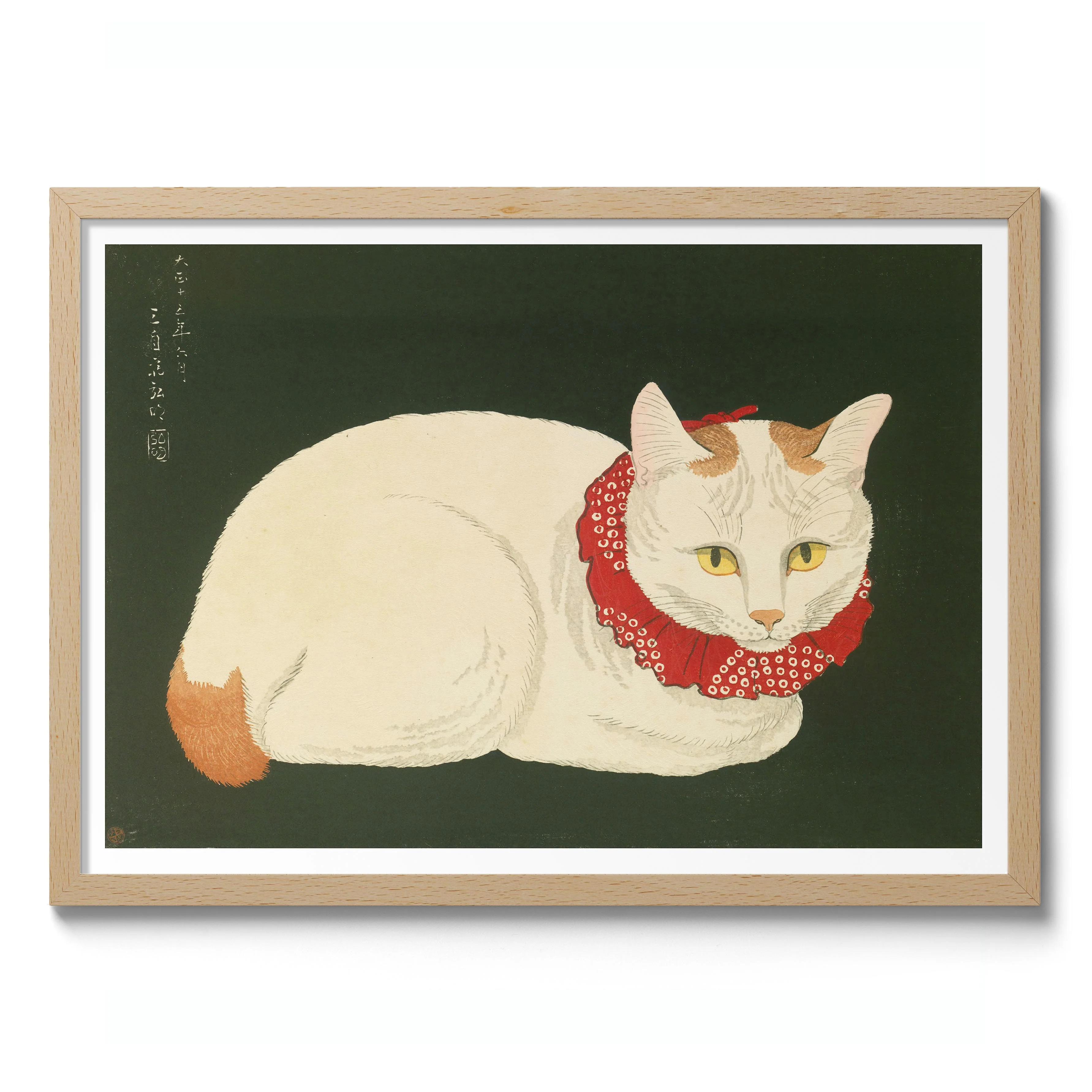 Shironeko (White Cat) - Image 3