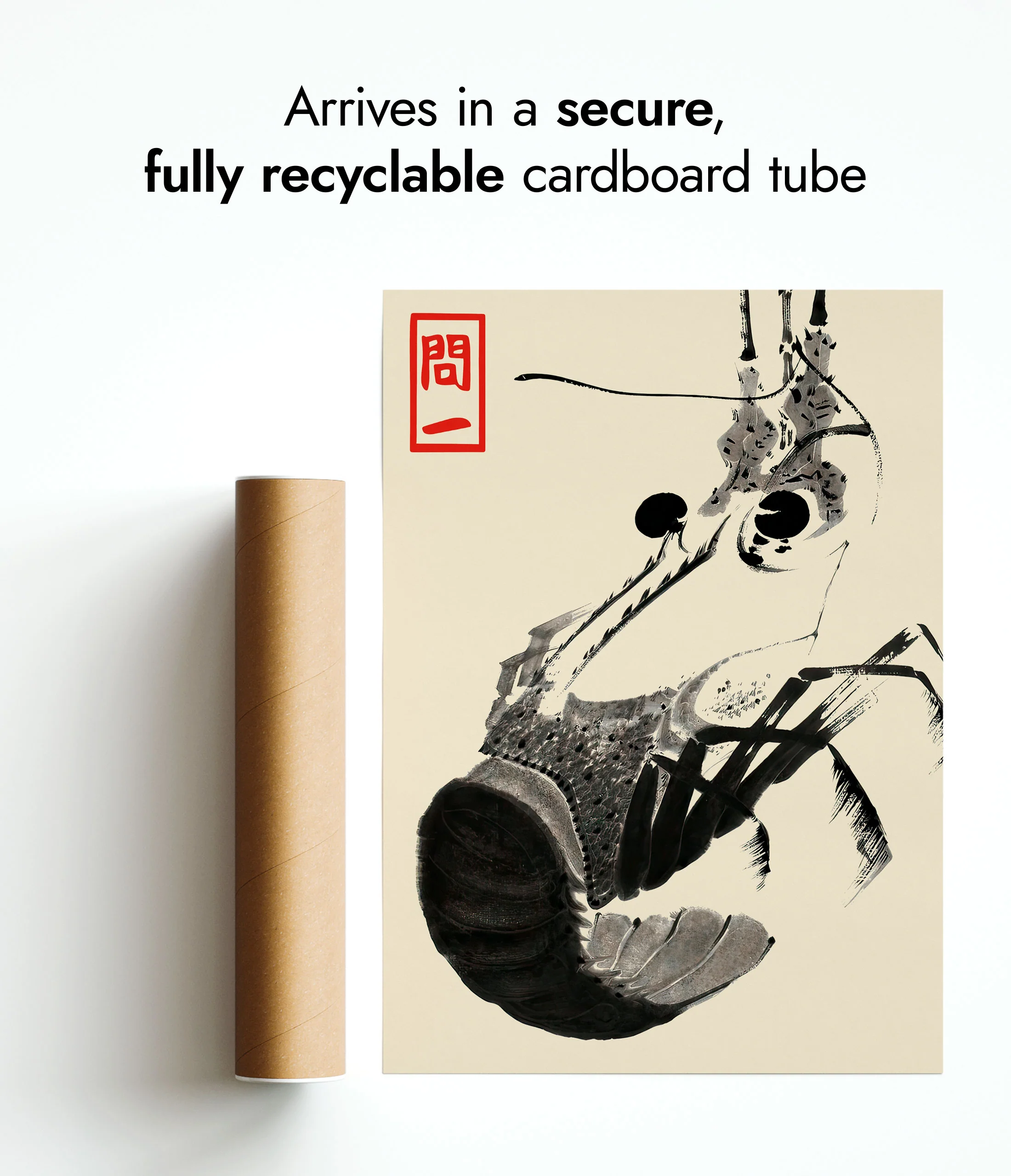 Shrimp - Image 9