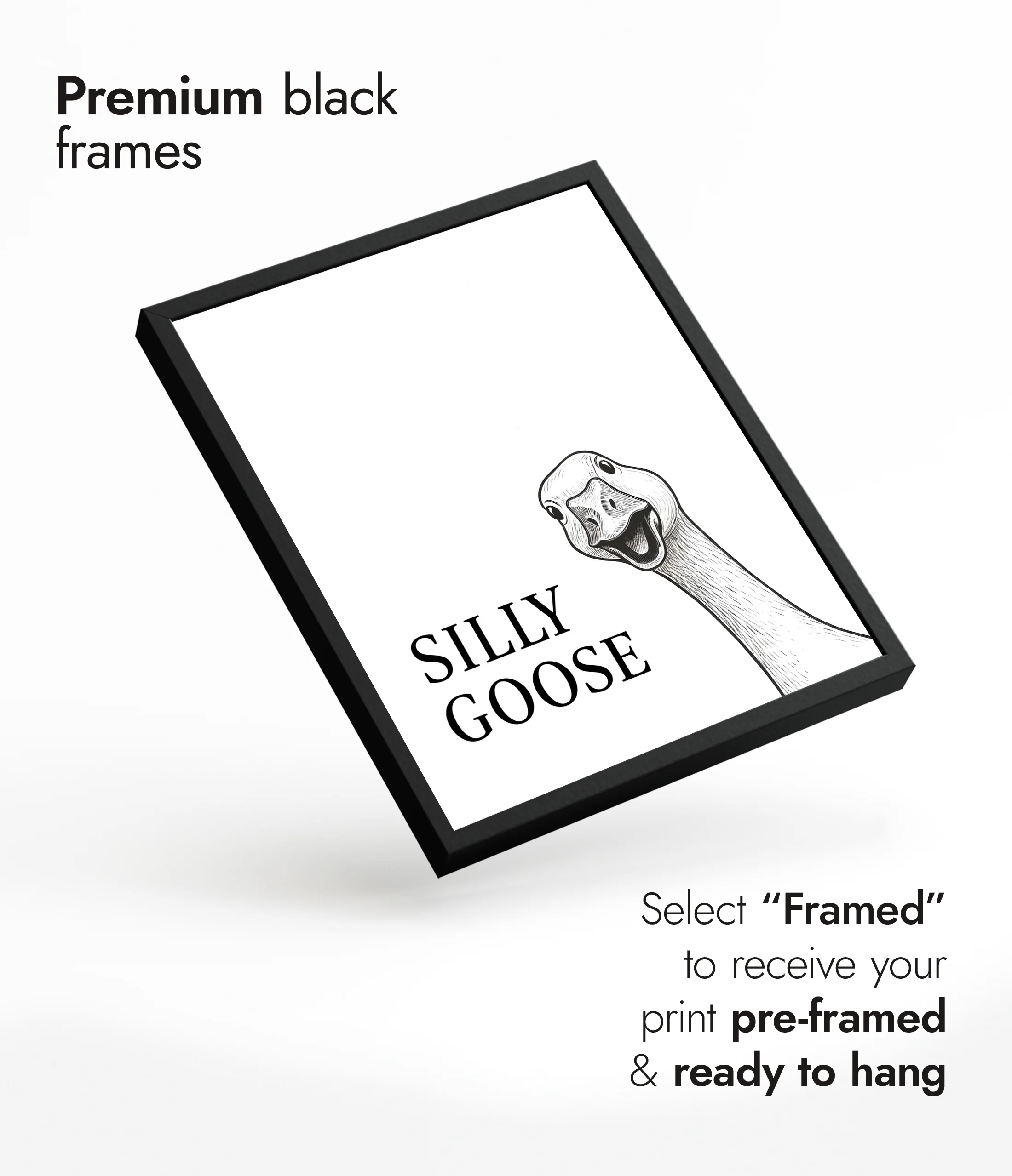 Silly Goose - Image 7