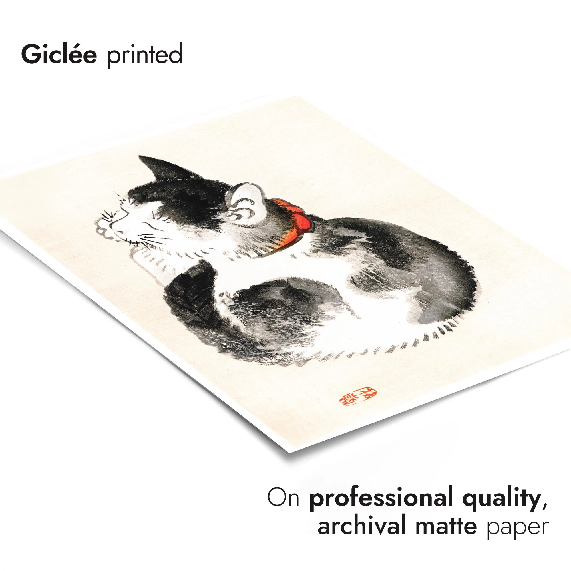 Sleeping Cat - Image 6