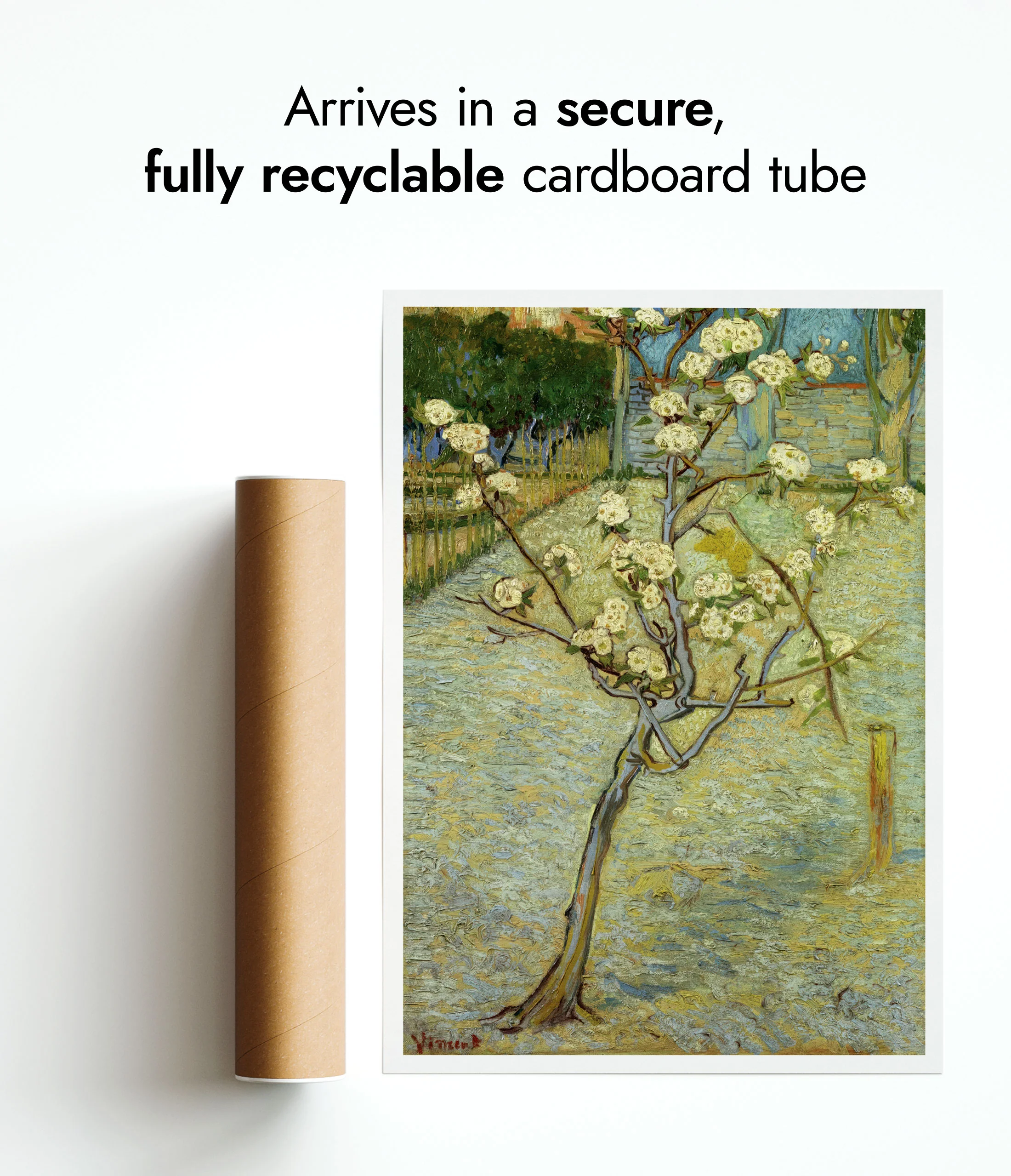 Small Pear Tree in Blossom - Image 9