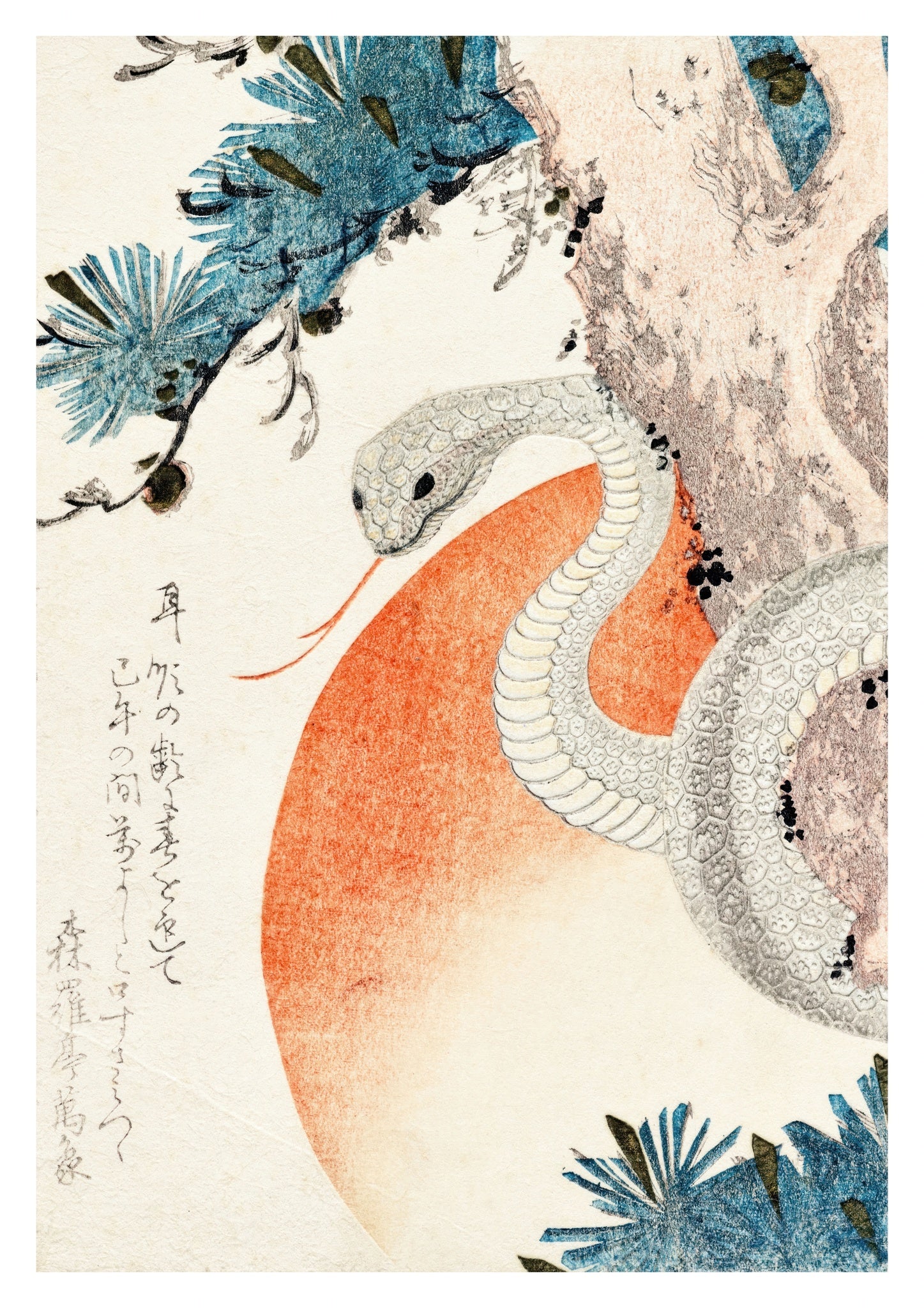 Snake Coiled Around a Pine Tree