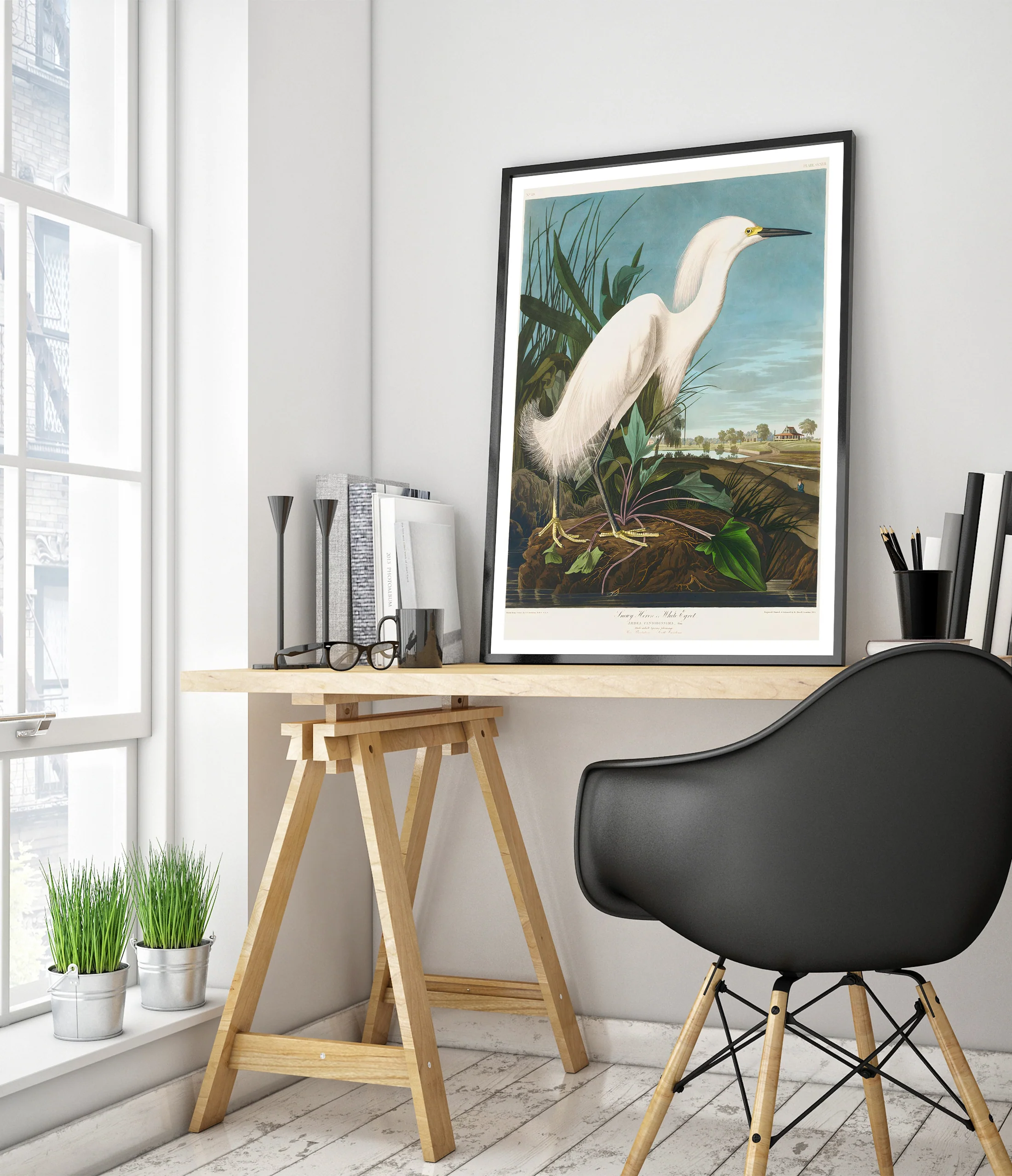 Snowy Heron - Image 5